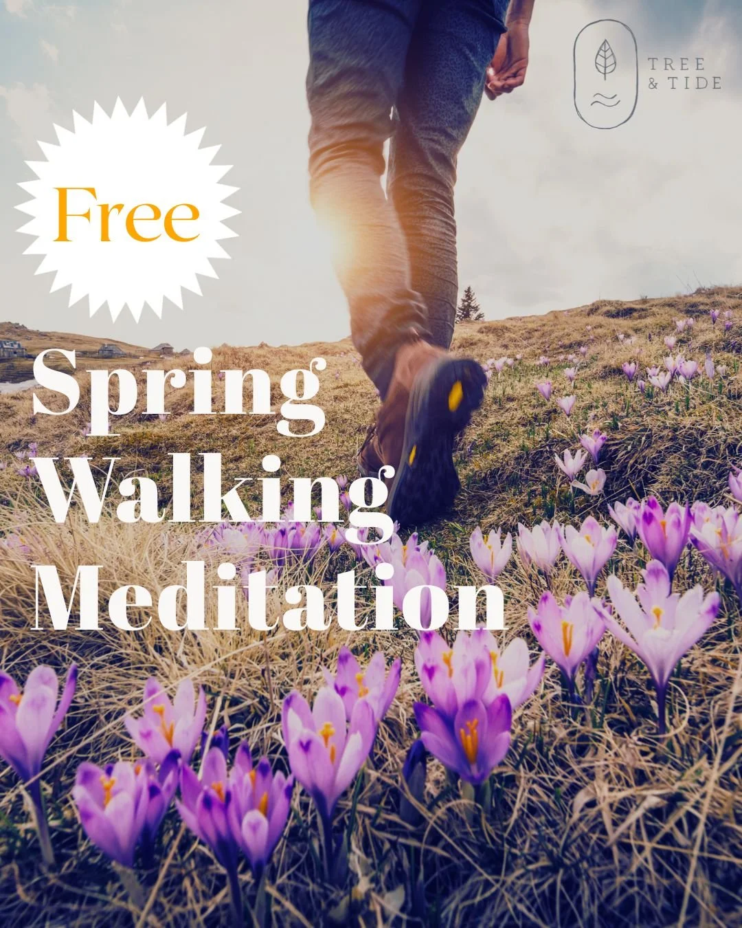 Give yourself a little mental reset this Easter with a guided dander outside.

Spring is fully underway and there is so much life unfolding in nature. 🌱
This little audio meditation invites you to slow down and find some wonder and rest in nature.

