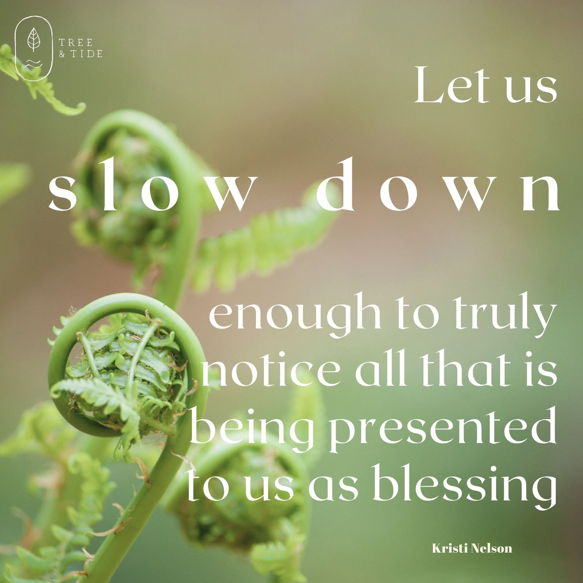 Wishing you a St Patricks day with a little space and time for some slow wonder.
💚x

#feelbetter #wellbeing #naturelover #slowdown