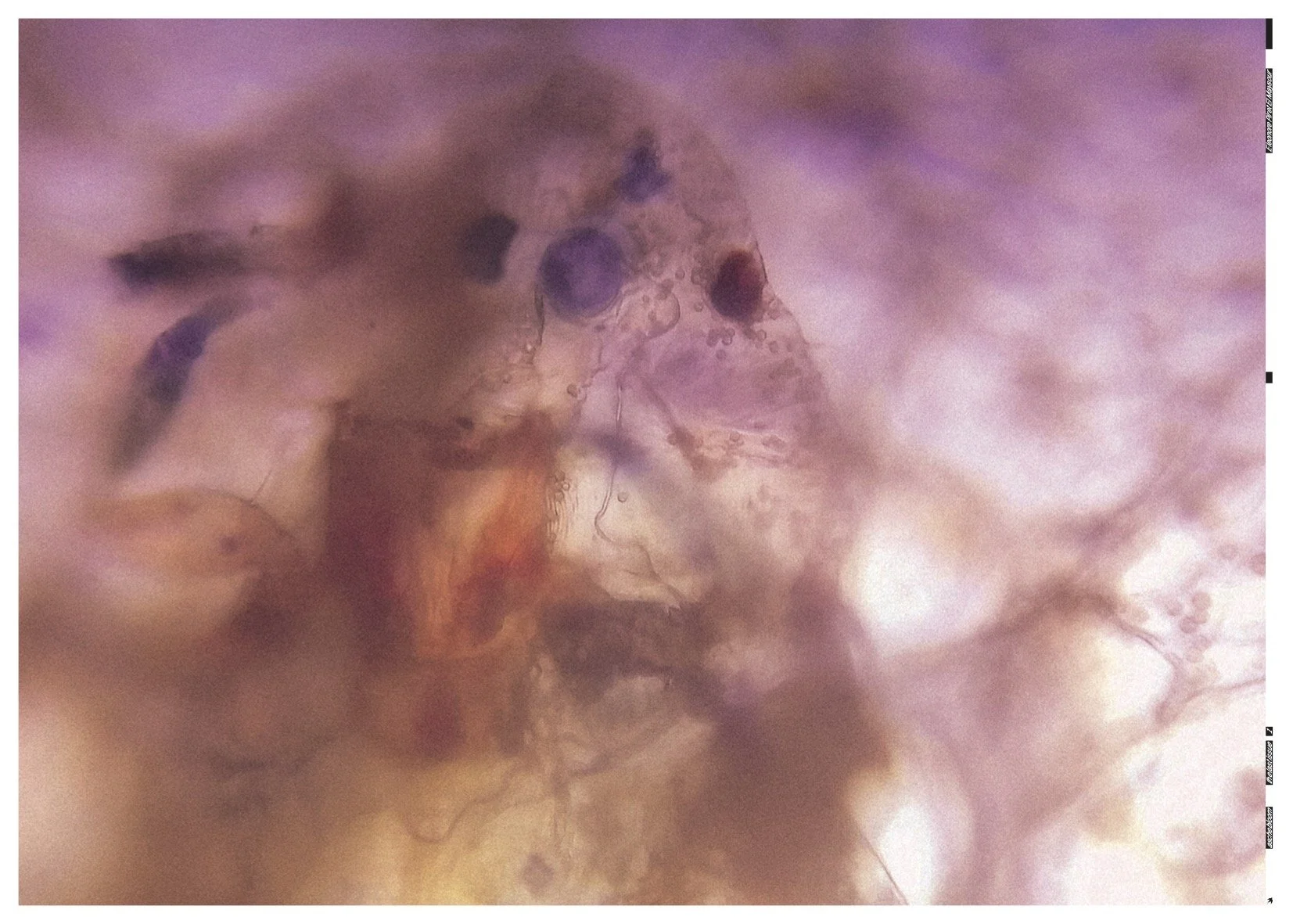 AB44.jpg
