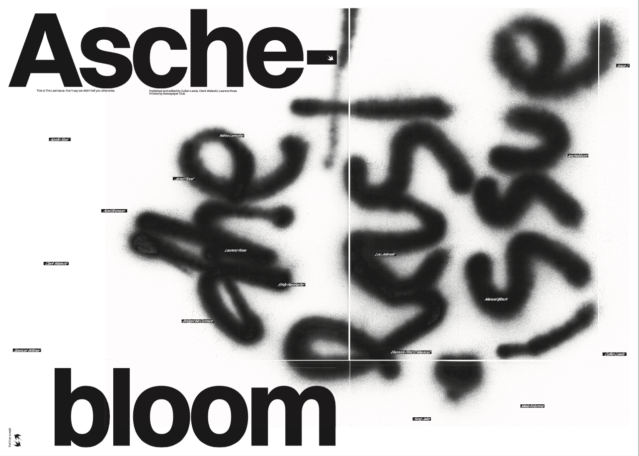 asche bloom magazine