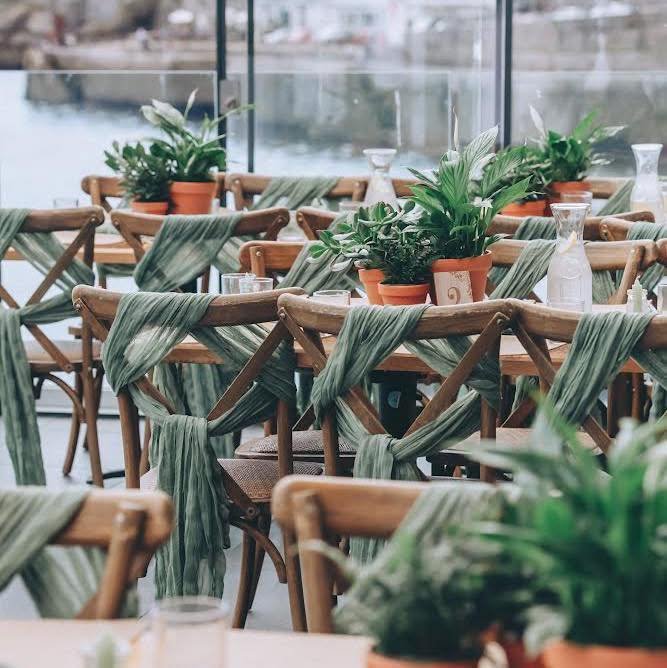 🌿 Wedding Supplier Showcase: Nook Houseplants 🌿
Greenery with Heart – for Your Perfect Day
We’re delighted to feature Nook Houseplants as one of our trusted wedding styling partners here at Pier One.
Specialising in elegant, indoor