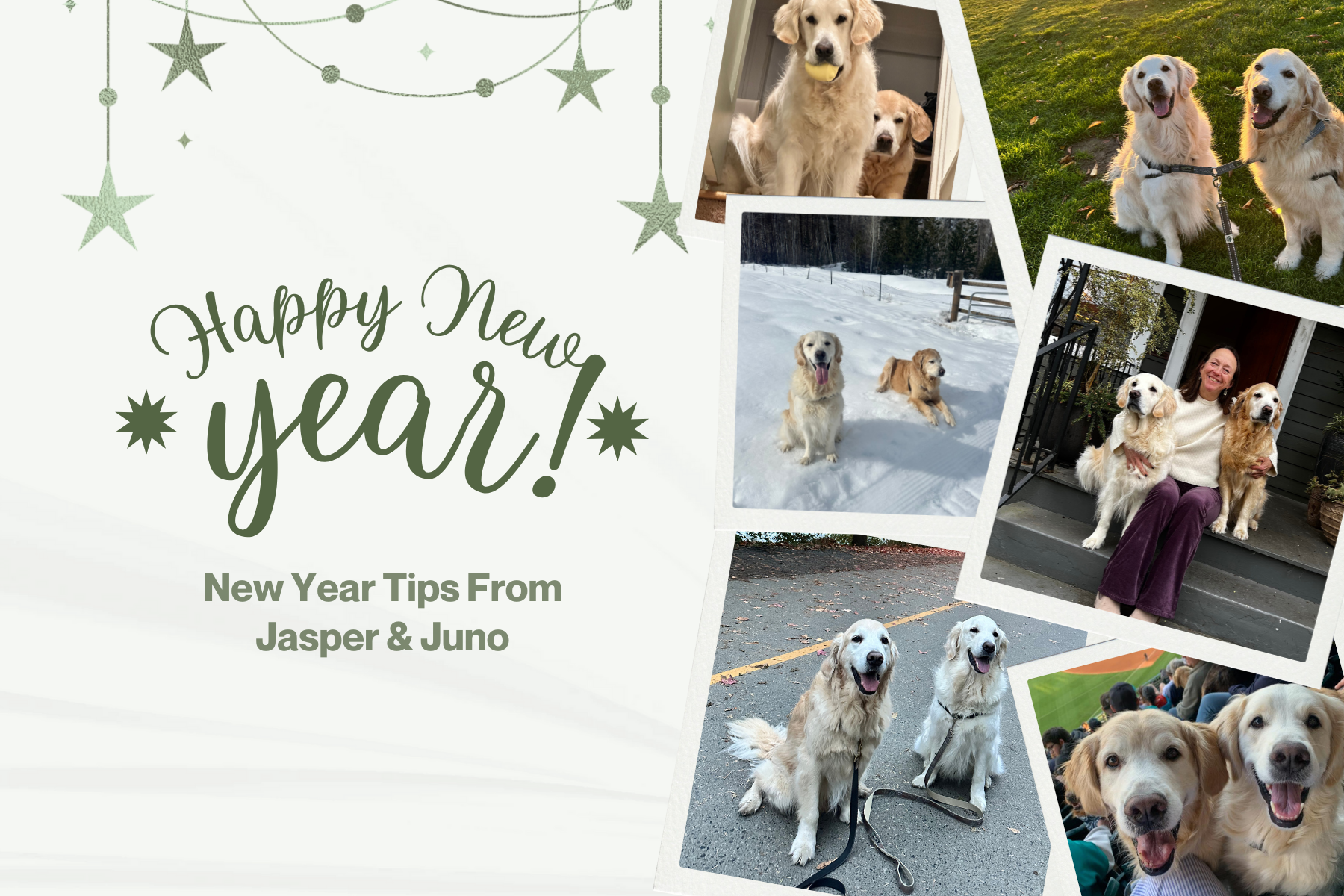 Happy New Year + Tips from Jasper &amp; Juno
