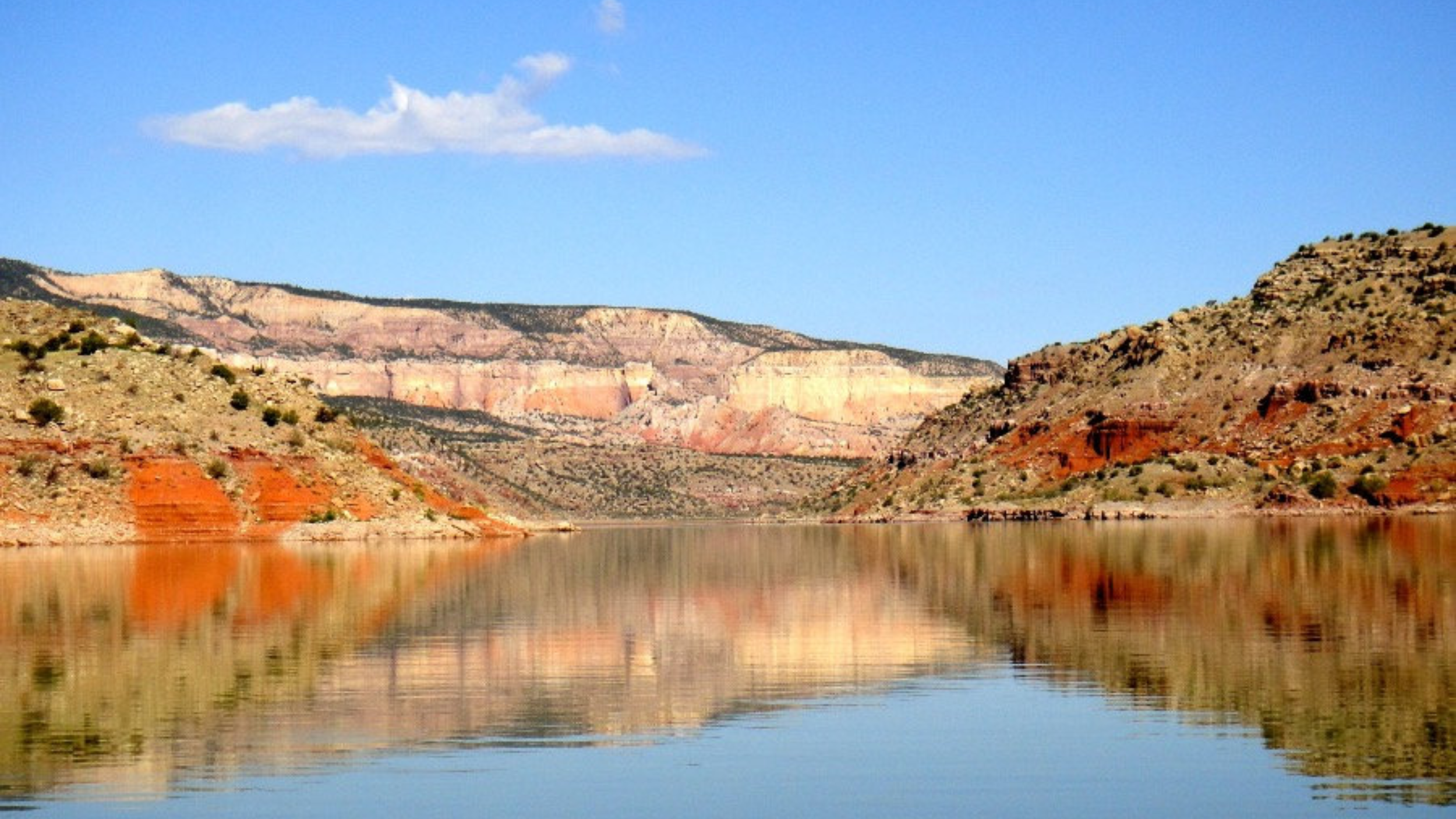 NEW EB graphic template (38).png