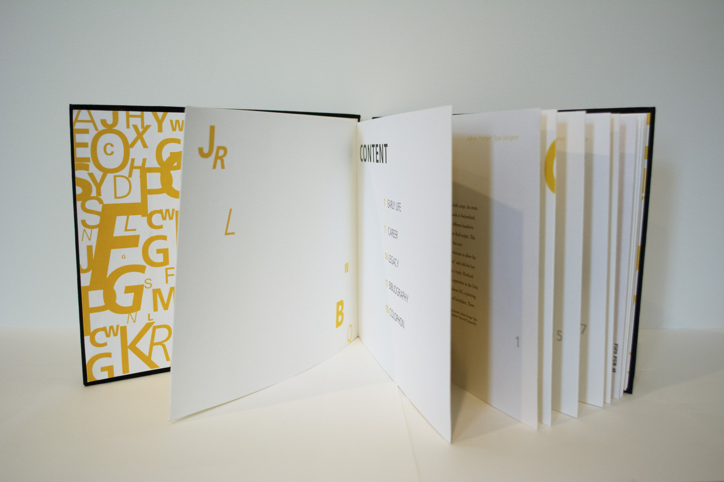 type book fan.jpg