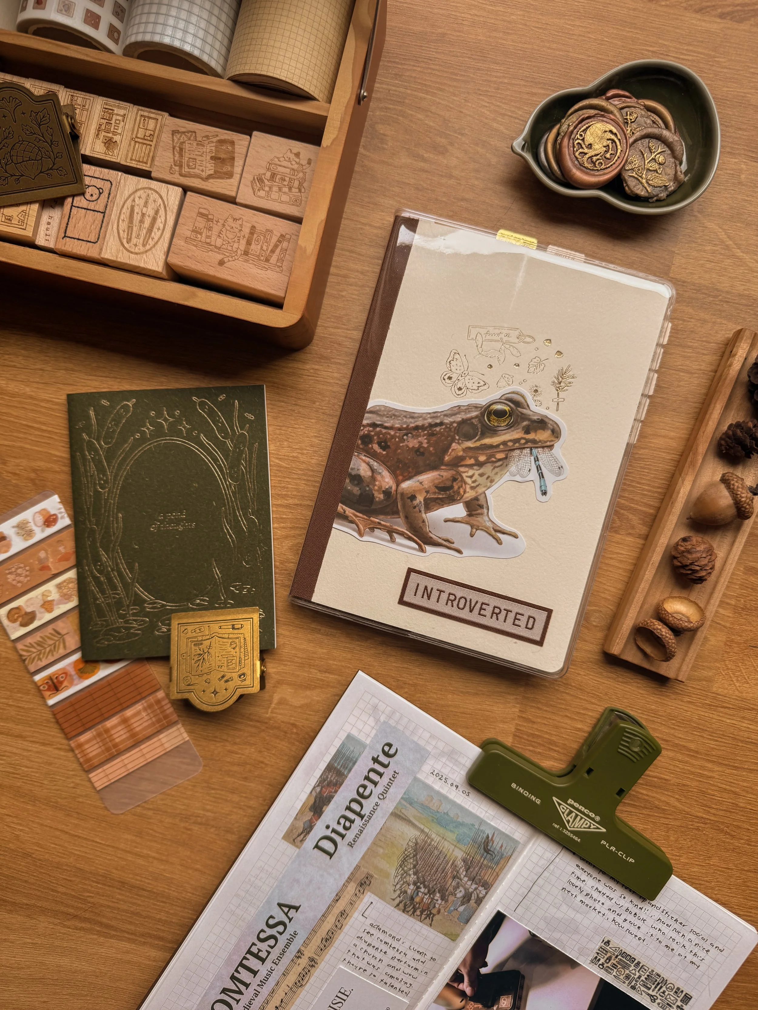 current journal lineup🌱 my forest planner as always, which i&rsquo;ve added a jumbo frog too because obviously. and both sizes of my new tn notebooks - one for ephemera i&rsquo;ve collected overtime and one for a new project being revealed soon☺️ lo