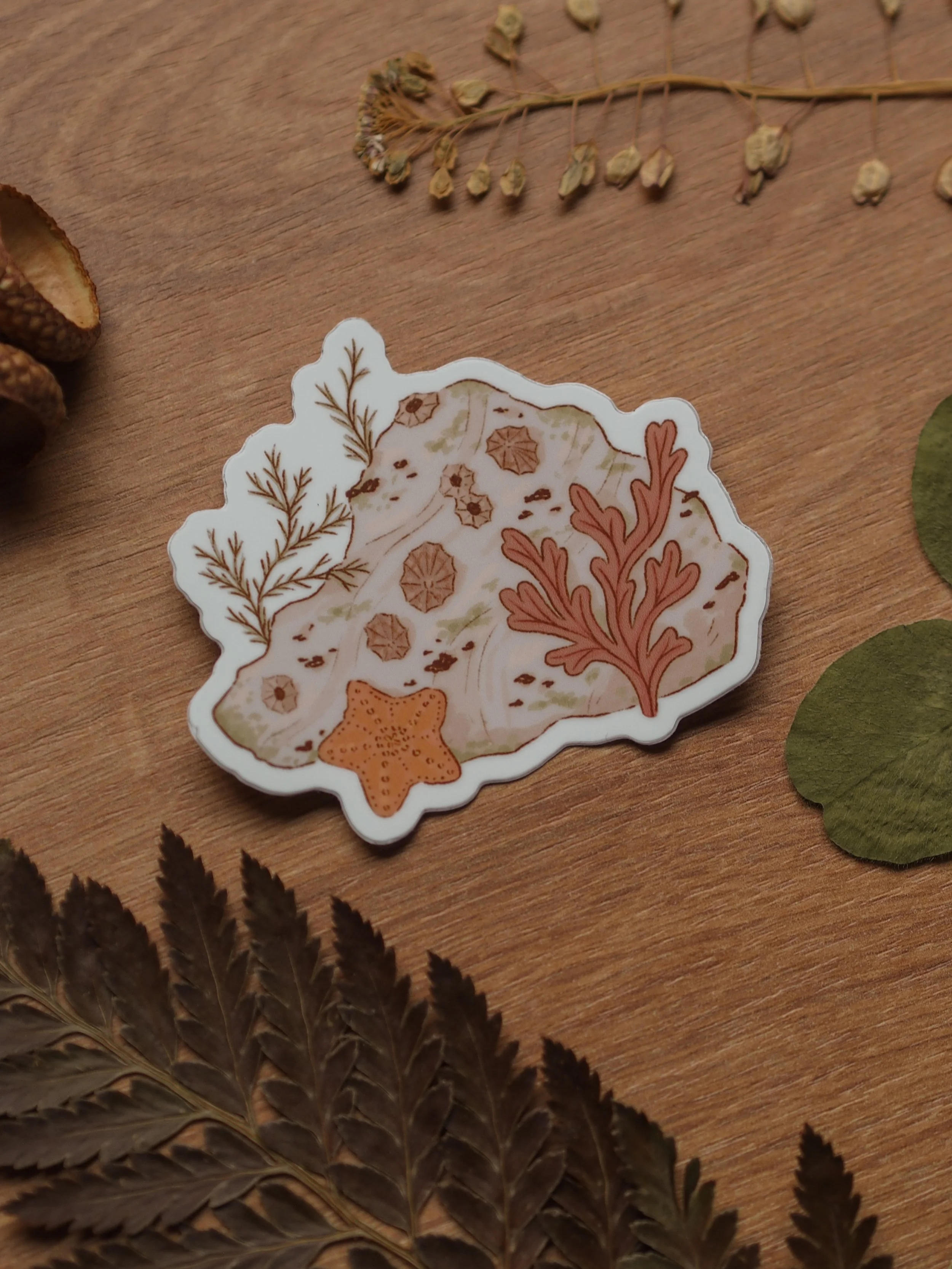 Coral Sticker