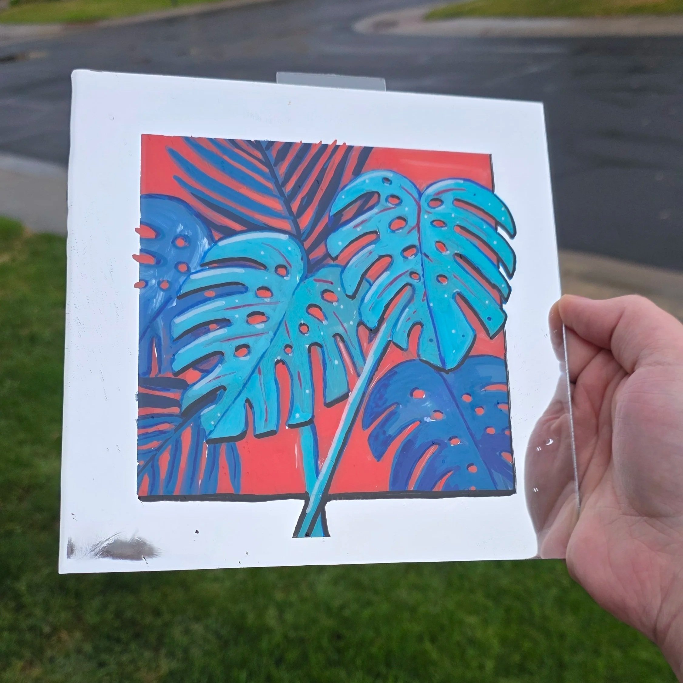 mirror+plant+1.jpg