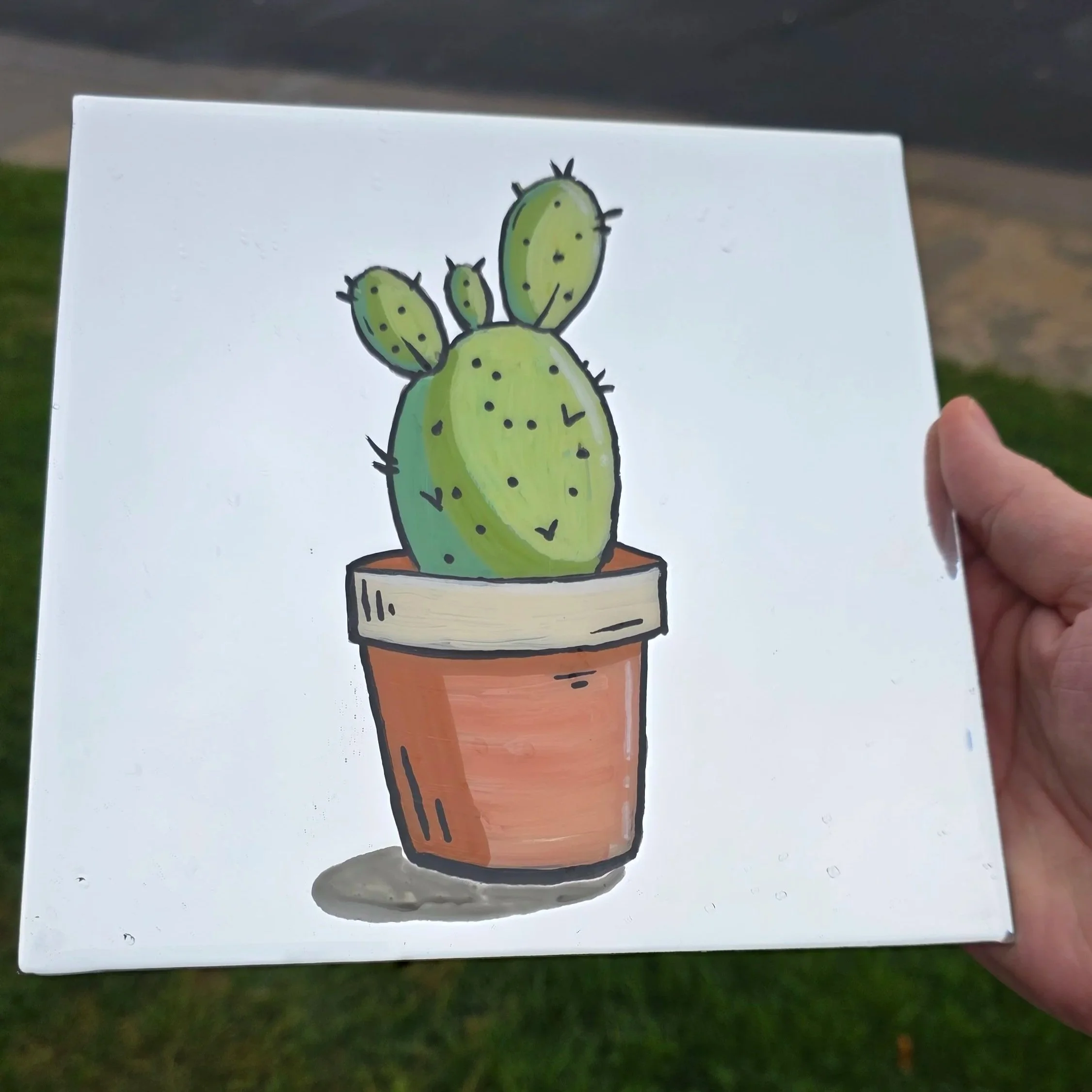 mirror+cactus+1.jpg