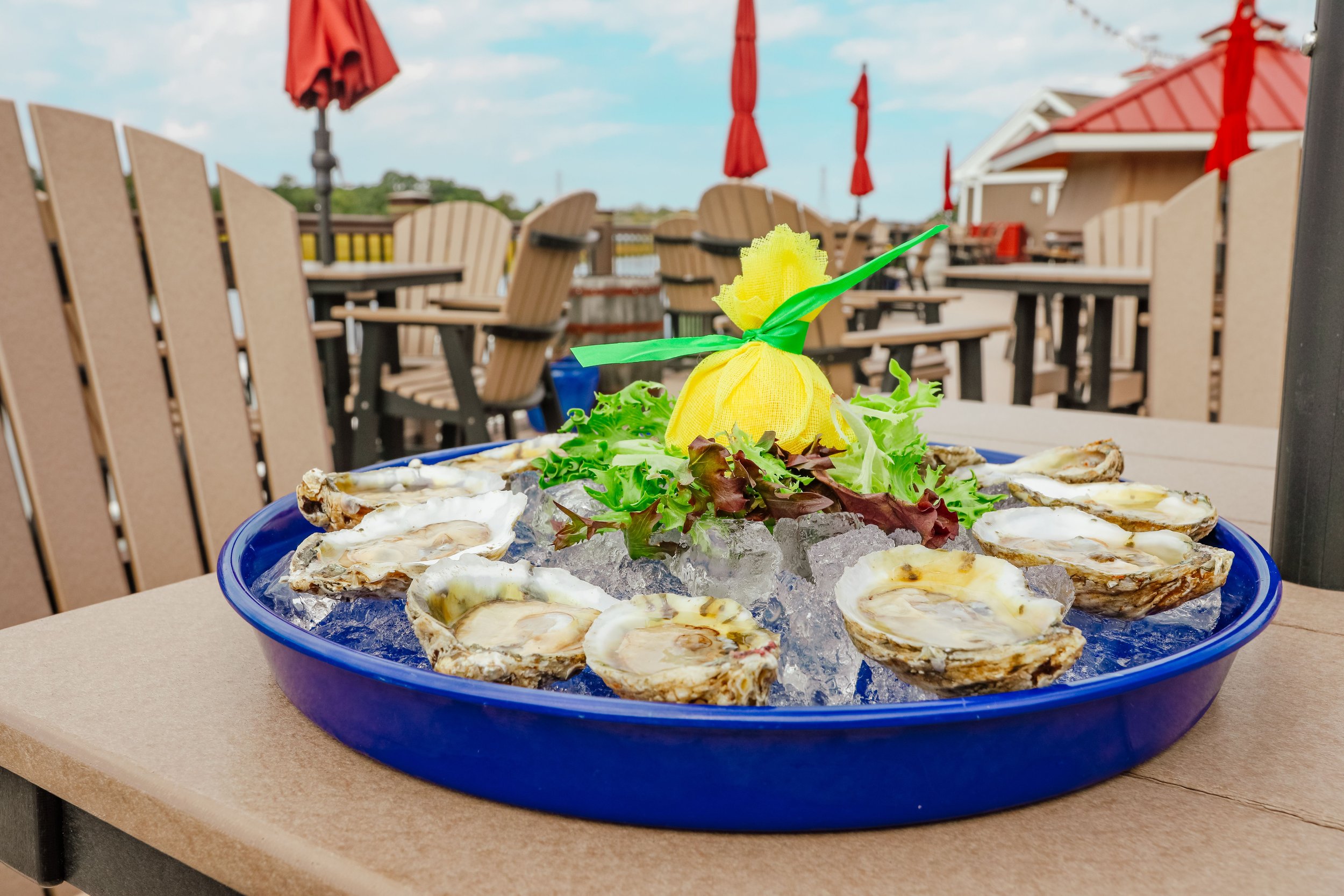 Raw Oysters.jpeg