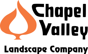 cv-logo.png