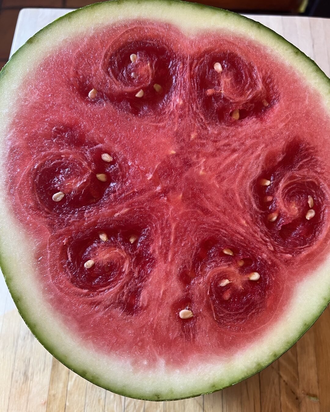 Degeneration in Spirals that Center a 6-pointed Star. The Splendor of an Aging Watermelon is Incomparable. Come join our new program on Regeneration and explore the beauty and meaning of degeneration in our lives, and our life cycles when we are past
