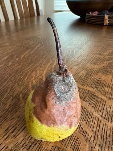 FULLmoon Compost Ritual