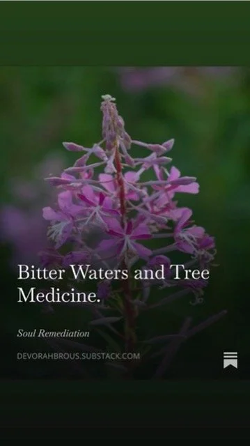 Bitter Waters &amp; Tree Medicine