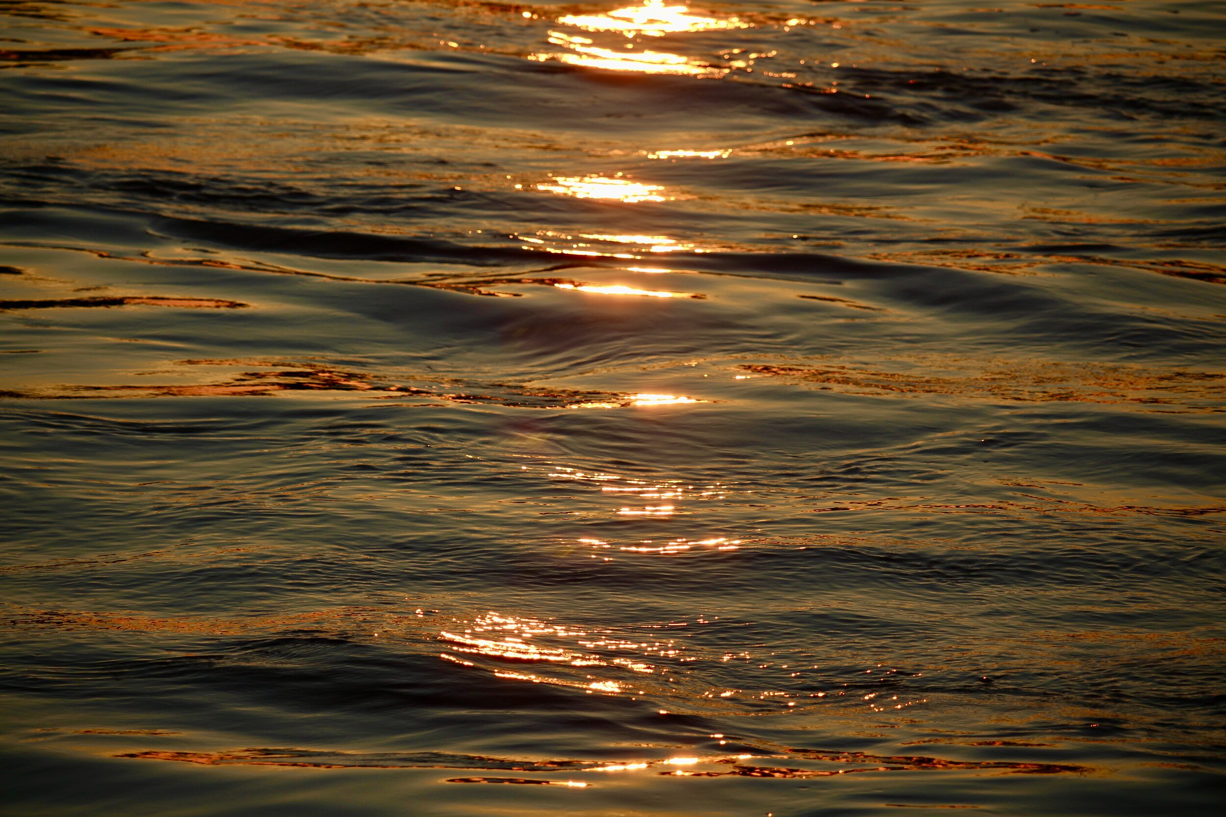 Reflections 0020