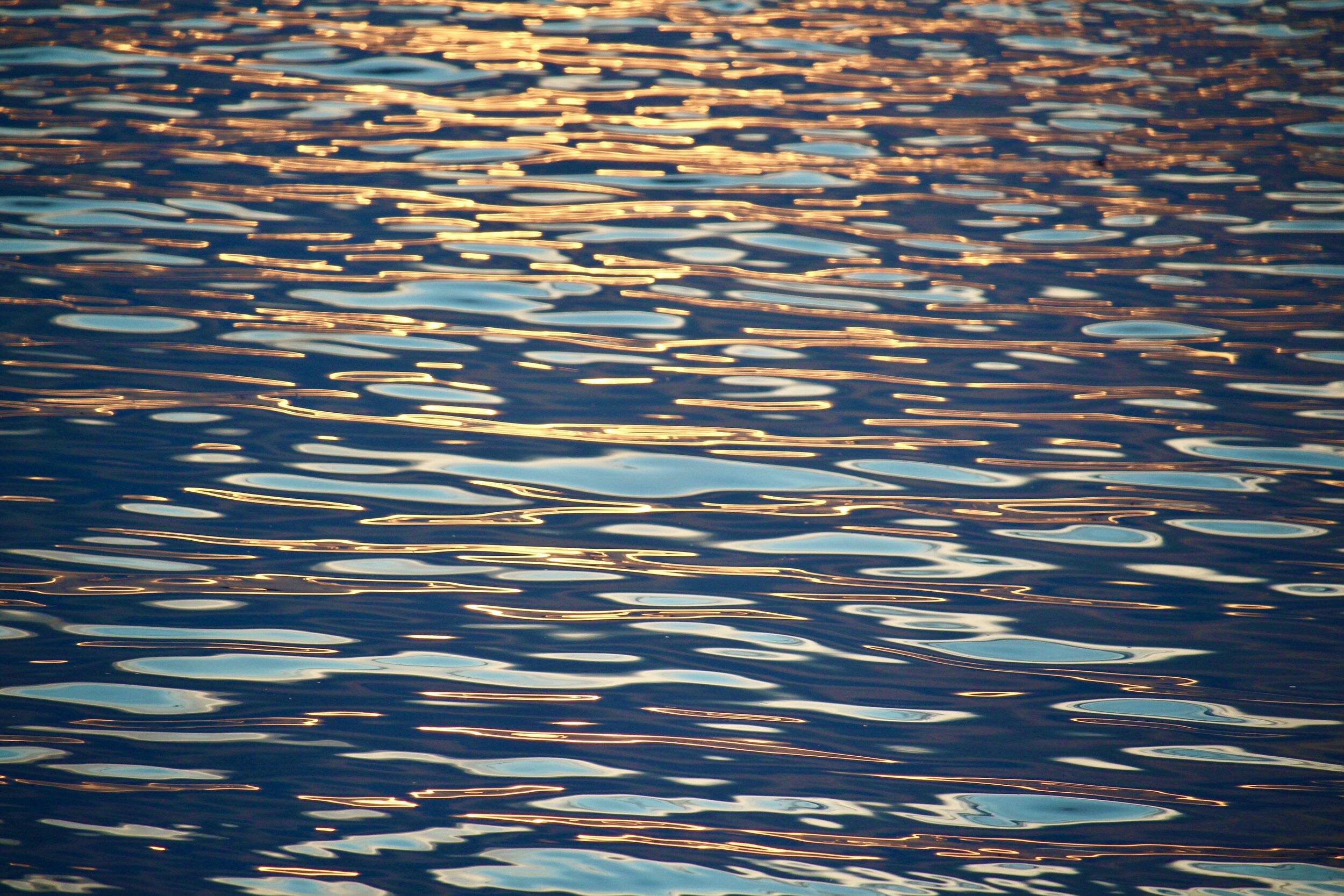 Reflections 0015