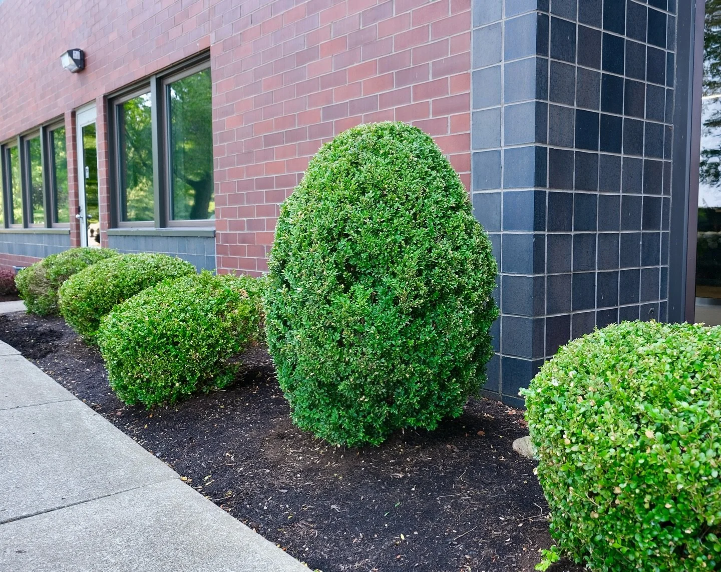 Contact — Loomis Companies