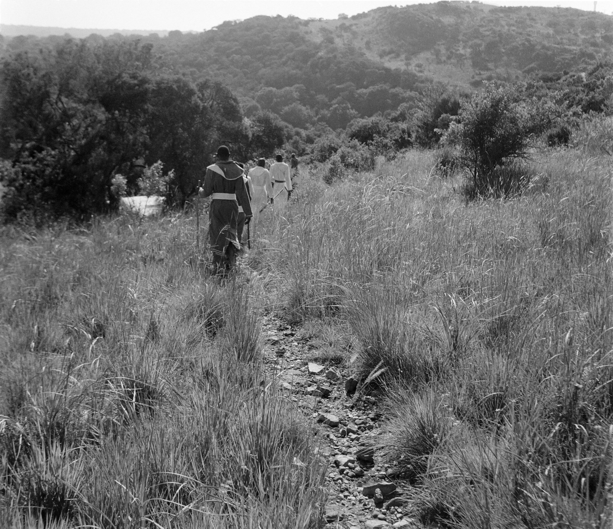  Members of a Zioni church sect walk through summer grass on their way to their outdoor worship space -  circular areas cleared and smoothed to allow for their ecstatic dancing, Melville Koppie, Johannesburg 2007. Photo Greg Marinovich 