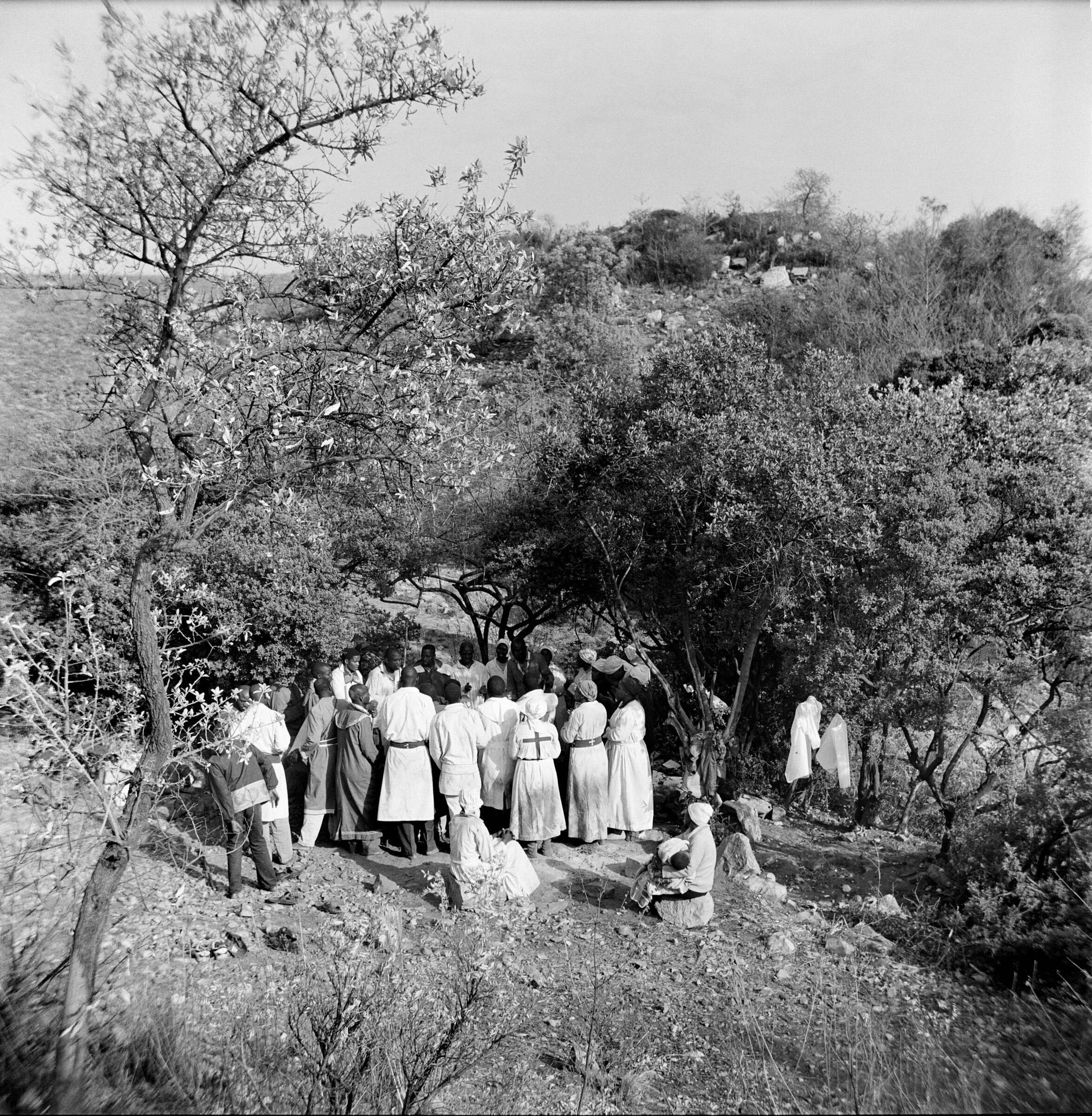  A Members of a Zionist church worship under trees, Melville Koppies, Johannesburg, 2006. photo Greg Marinovich 