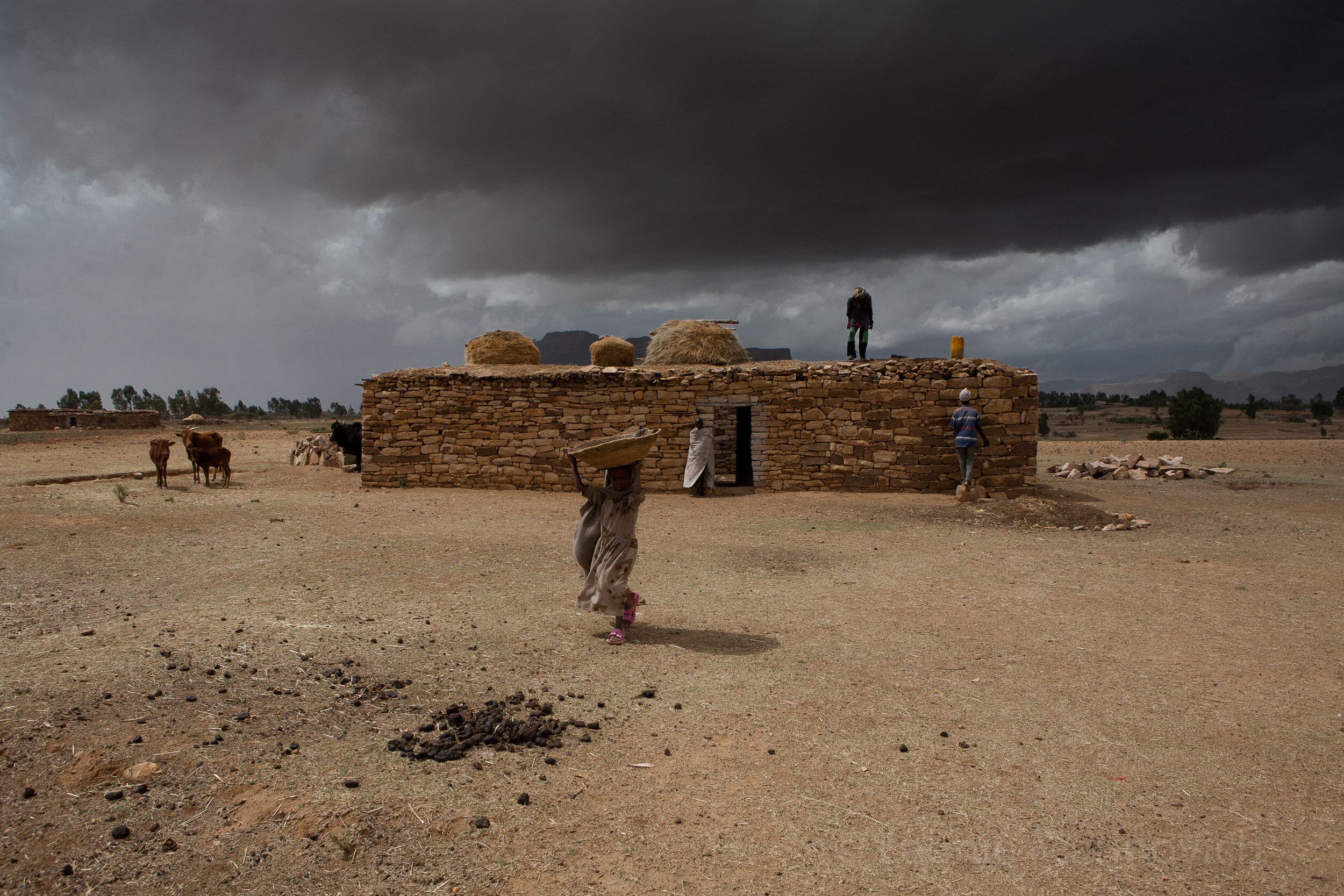  April 2010, Hauwzen Woreda, Tigray, Ethiopia. A Priest of the Orthodox church helps his brother put the roof on his house. The roofs are made in the traditional way of the region, with layers of wooden poles, soil, curved slate and hay. Soon after t