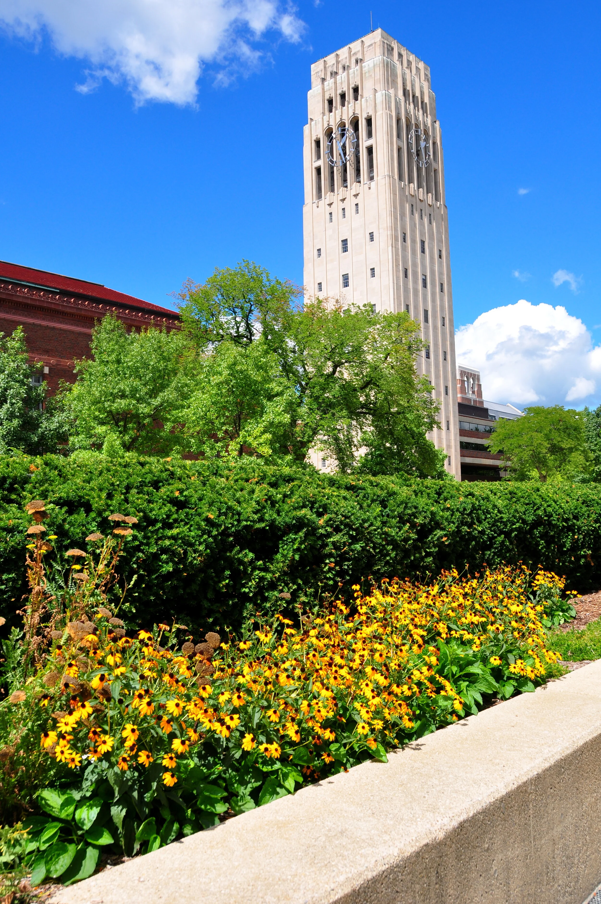A tall clock tower surrounded by green trees and yellow flowers, with a clear blue sky and some clouds overhead.