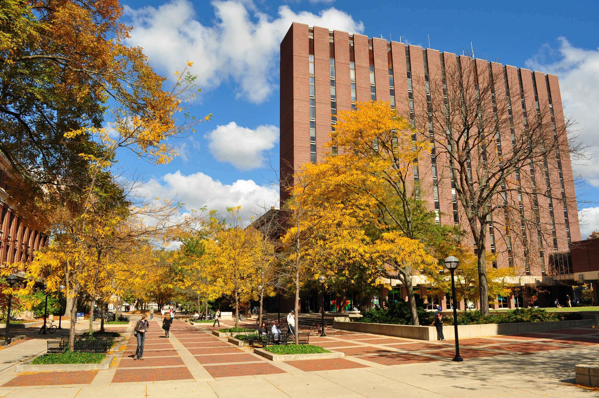 Campus avenue with trees in fall foliage, brick paving, and a tall brick building under a blue sky with clouds.
