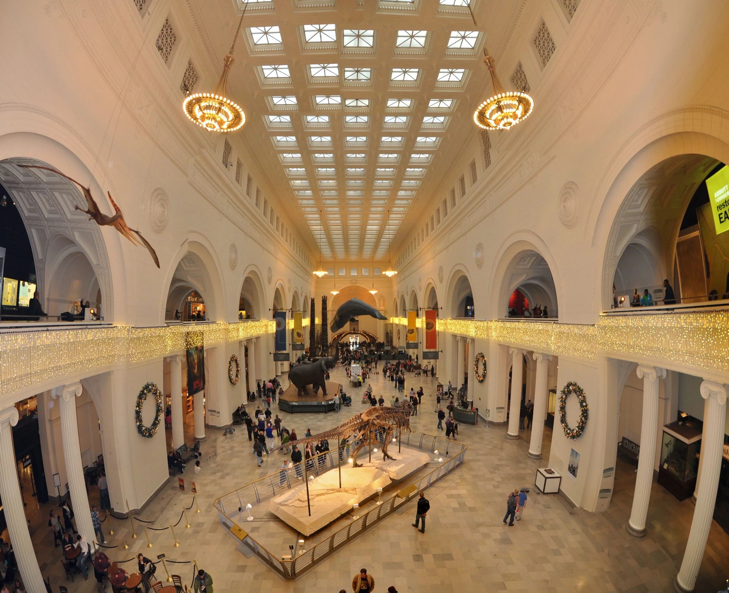 Interior of a large museum hall with high ceiling, decorated with holiday wreaths, featuring dinosaur skeletons and themed displays.