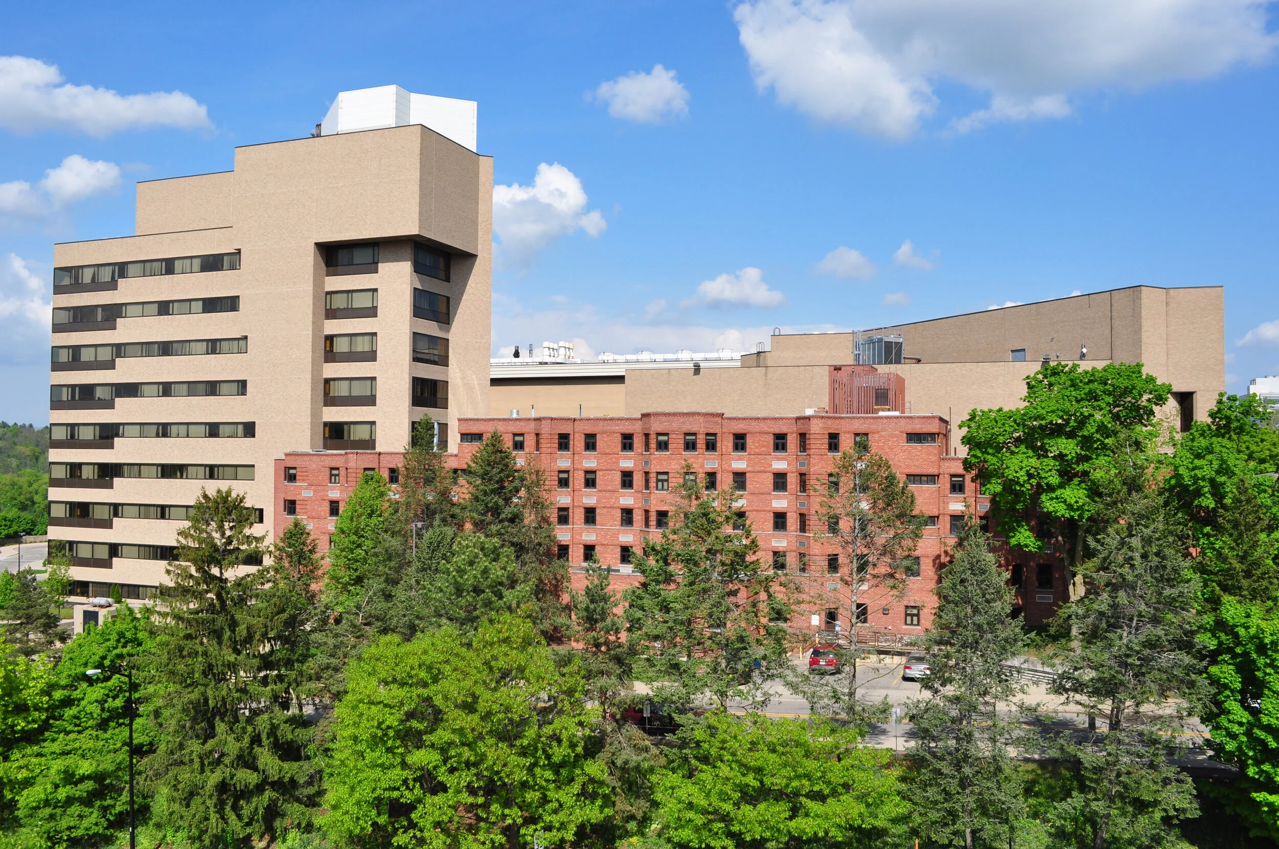 Multi-story buildings with a lush green trees in the foreground, under a partly cloudy blue sky.