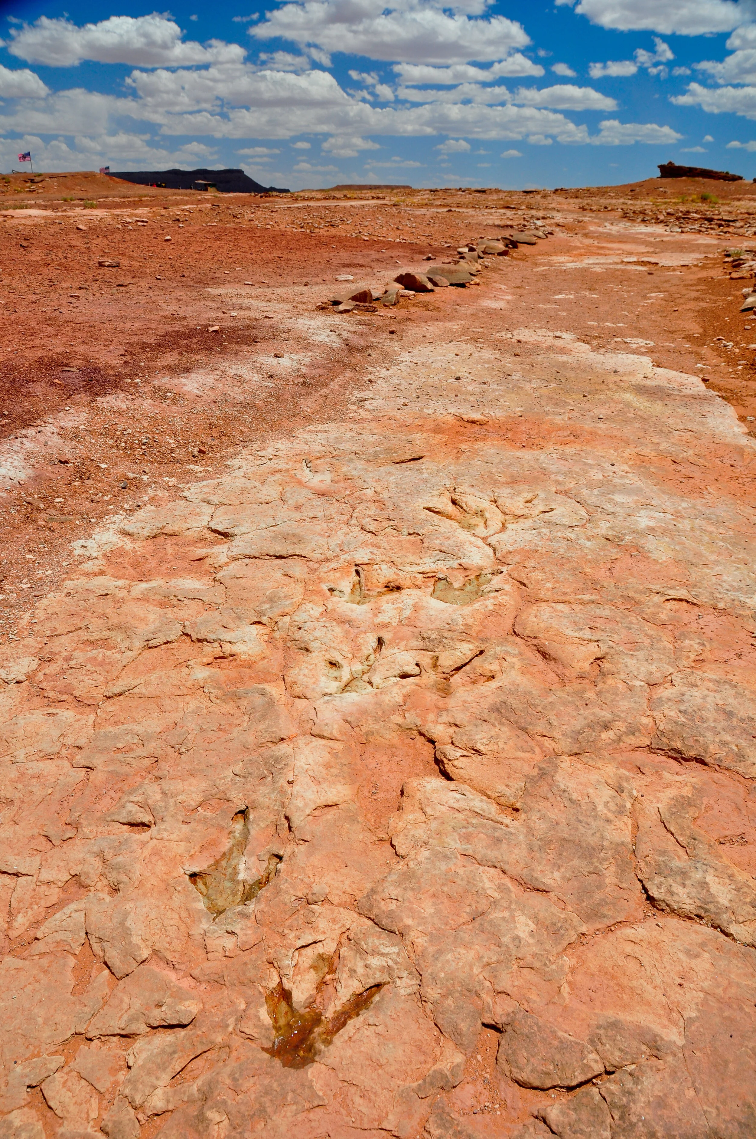 A barren, rocky desert landscape with reddish soil, cracked ground, distant mesas, and flags in the background under a partly cloudy sky.