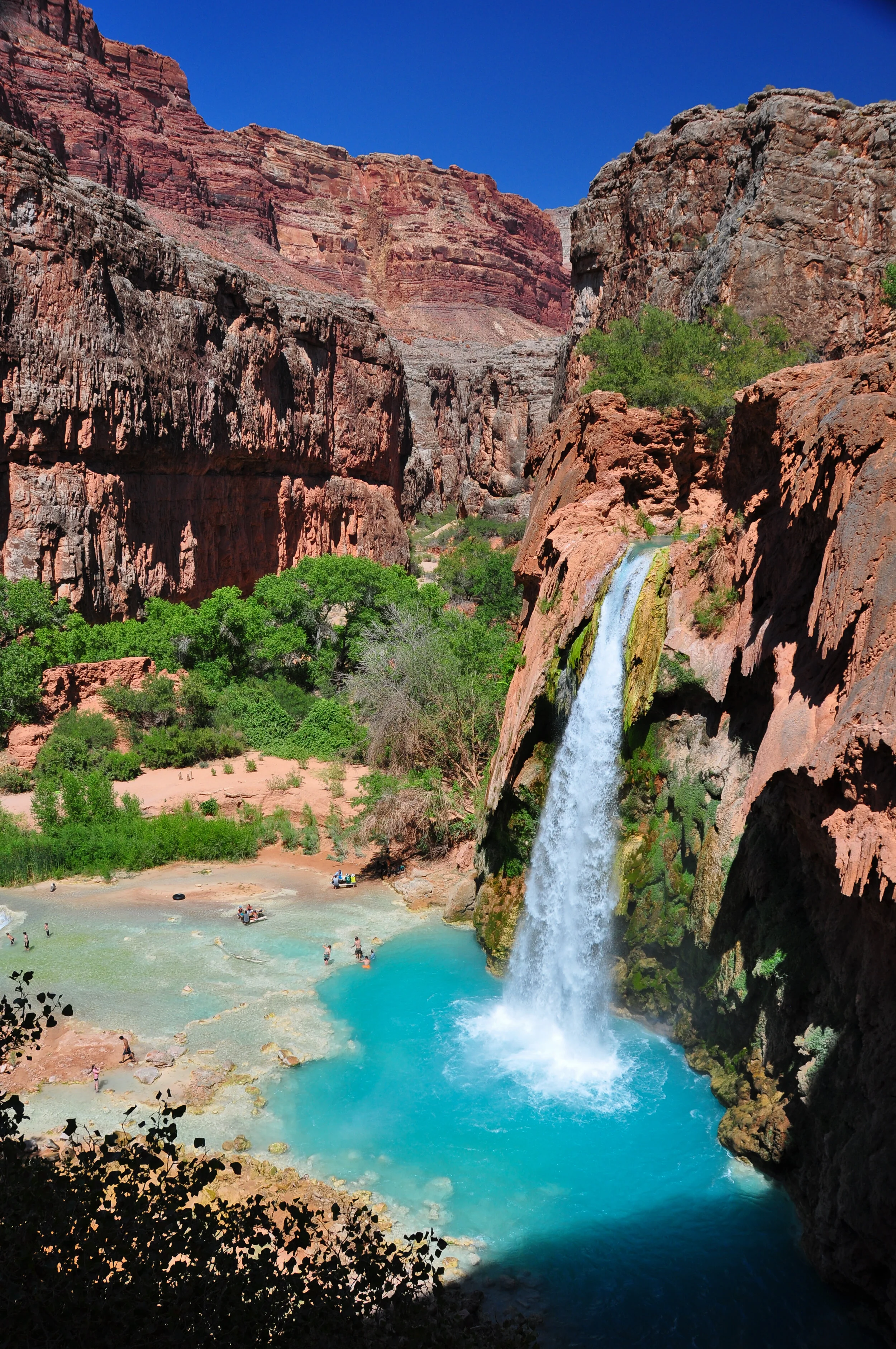 Scenic view of the Grand Canyon with a waterfall cascading into a turquoise pool, surrounded by towering red cliffs and green foliage under a clear blue sky.