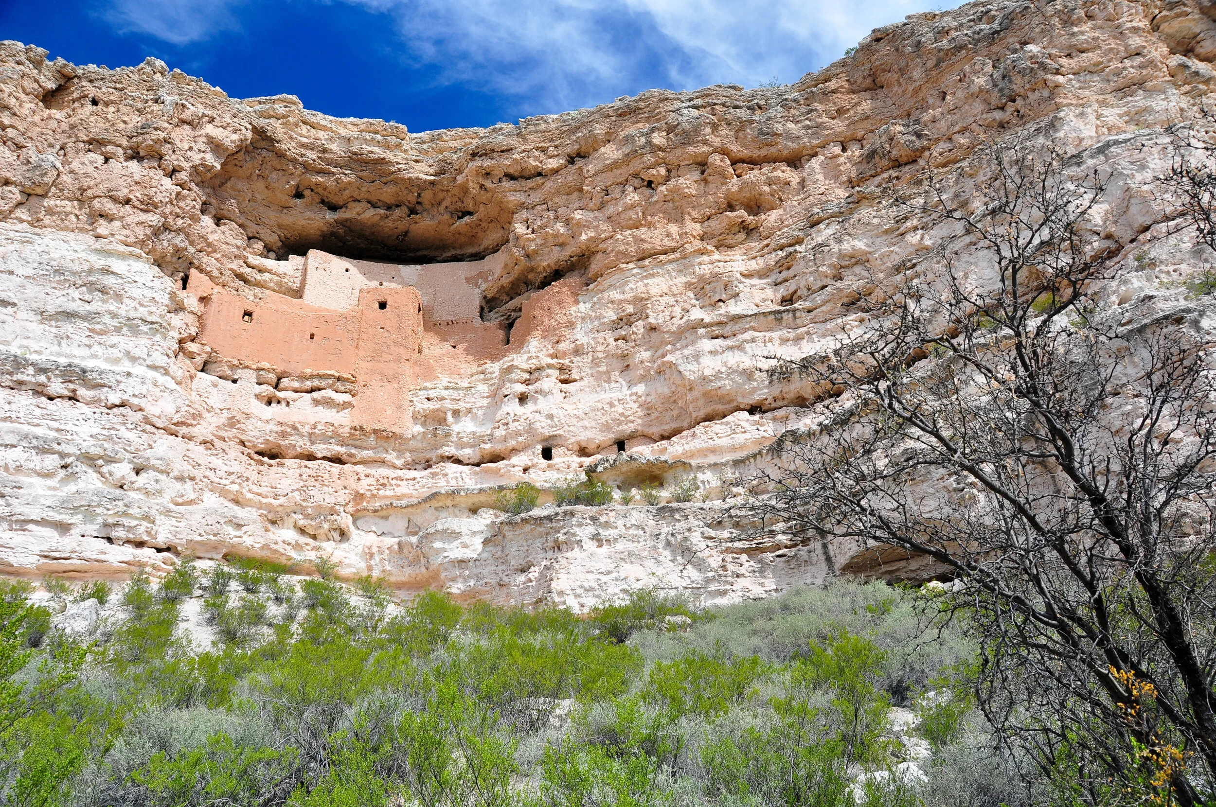 Cliffside with ancient multi-story adobe dwellings built into the rock, overlooking green shrubbery and a leafless tree, under a blue sky with some clouds.