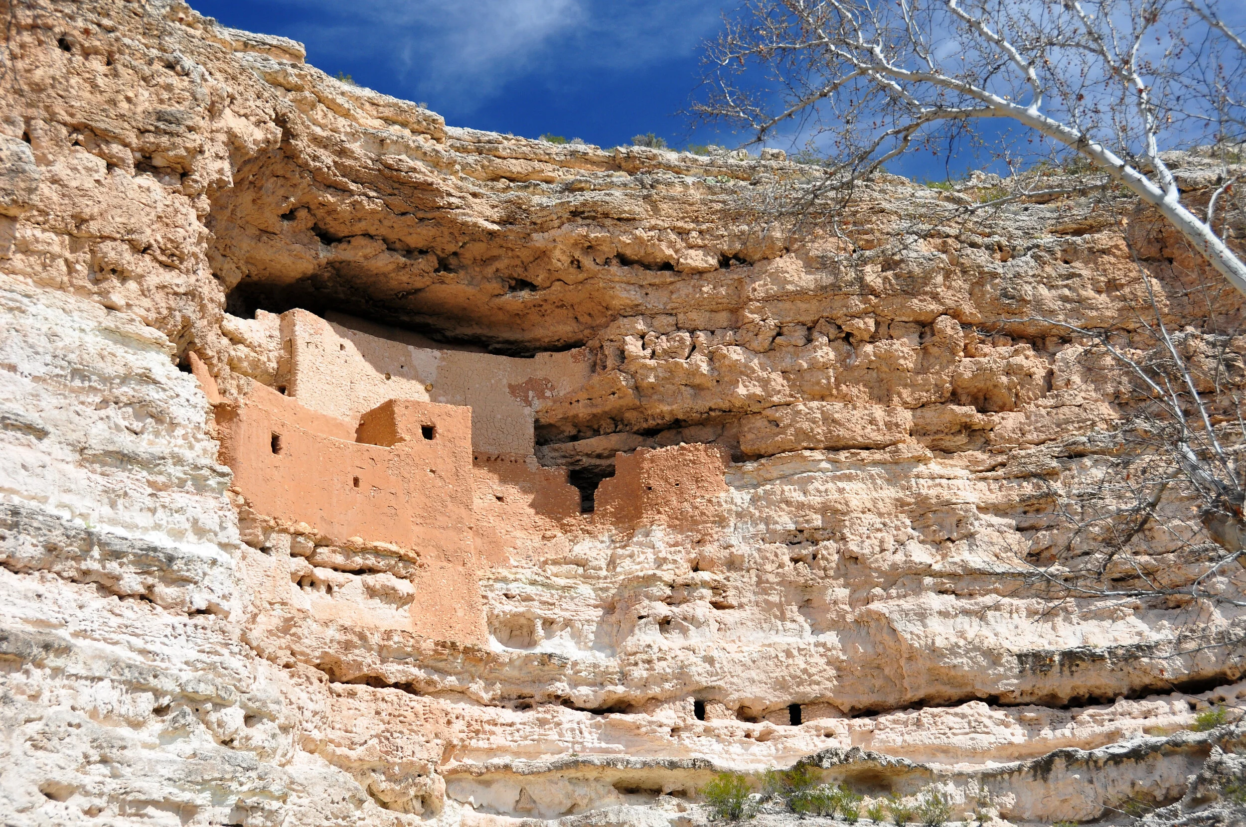 Ancient cliff dwelling built into rock face with blue sky and leafless tree in the foreground.
