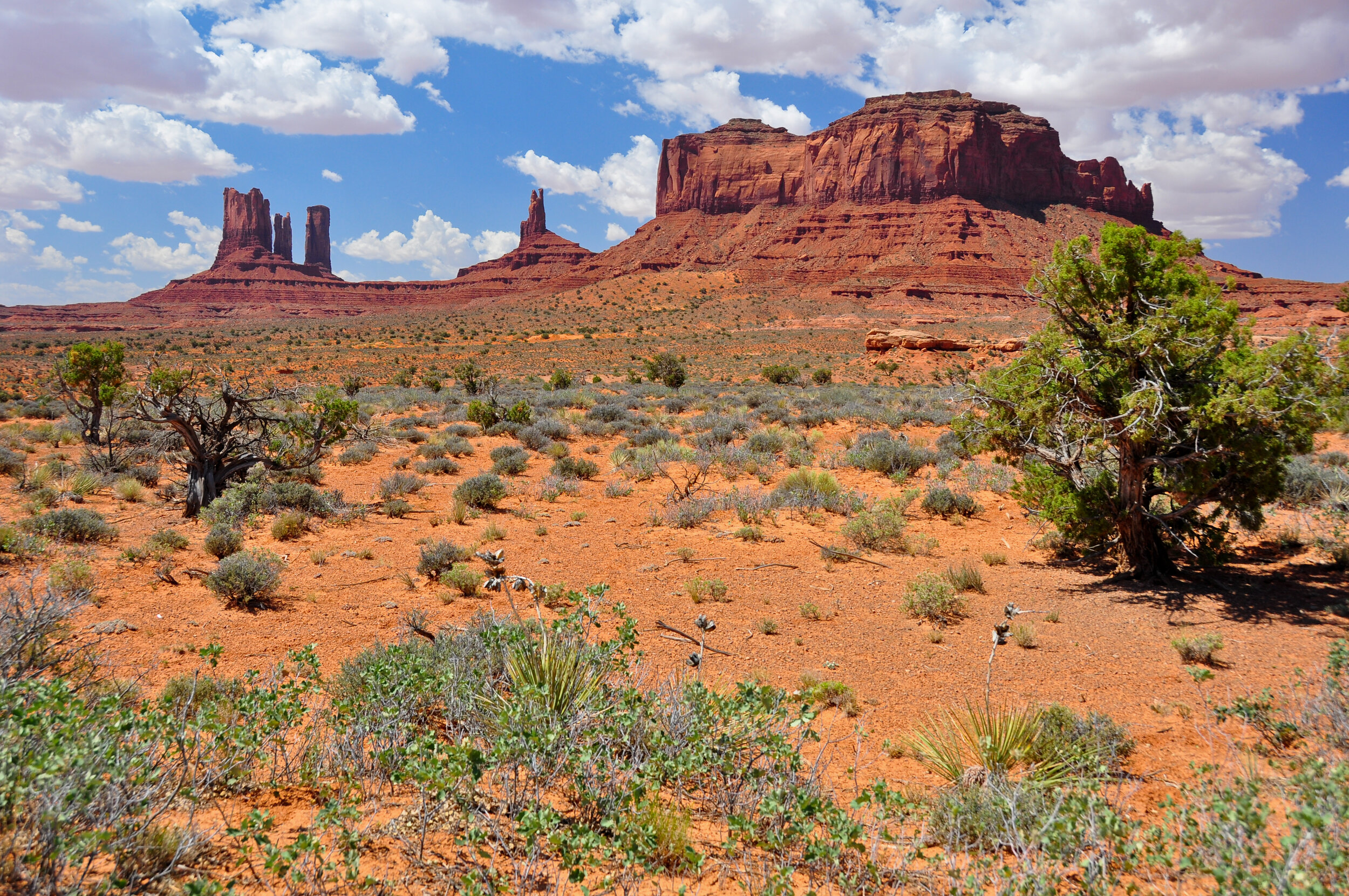 Desert landscape with red rock formations, sparse green vegetation, and a partly cloudy blue sky.