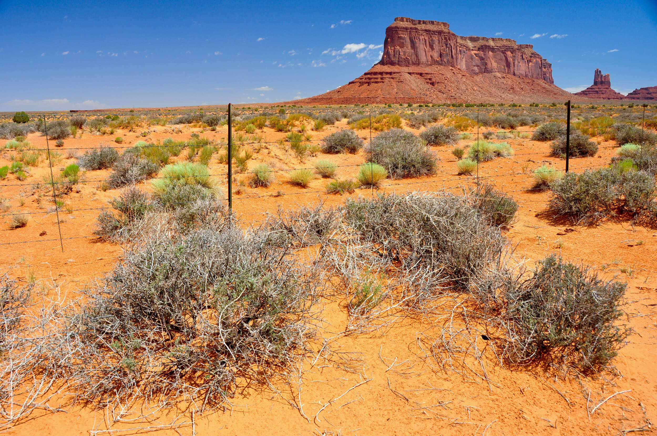 Desert landscape with red sandy terrain, sparse bushes, a fence, and a large flat-topped mesa in the background under a blue sky.