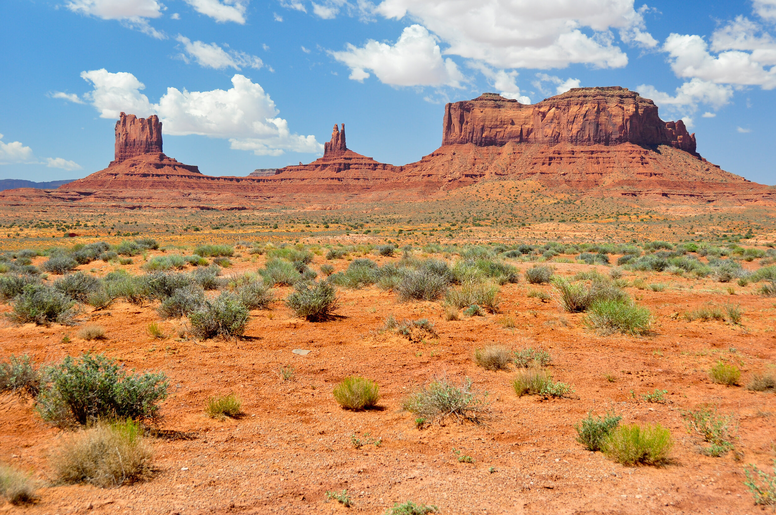 Desert landscape with red rocky formations and sparse green bushes under a blue sky with white clouds.