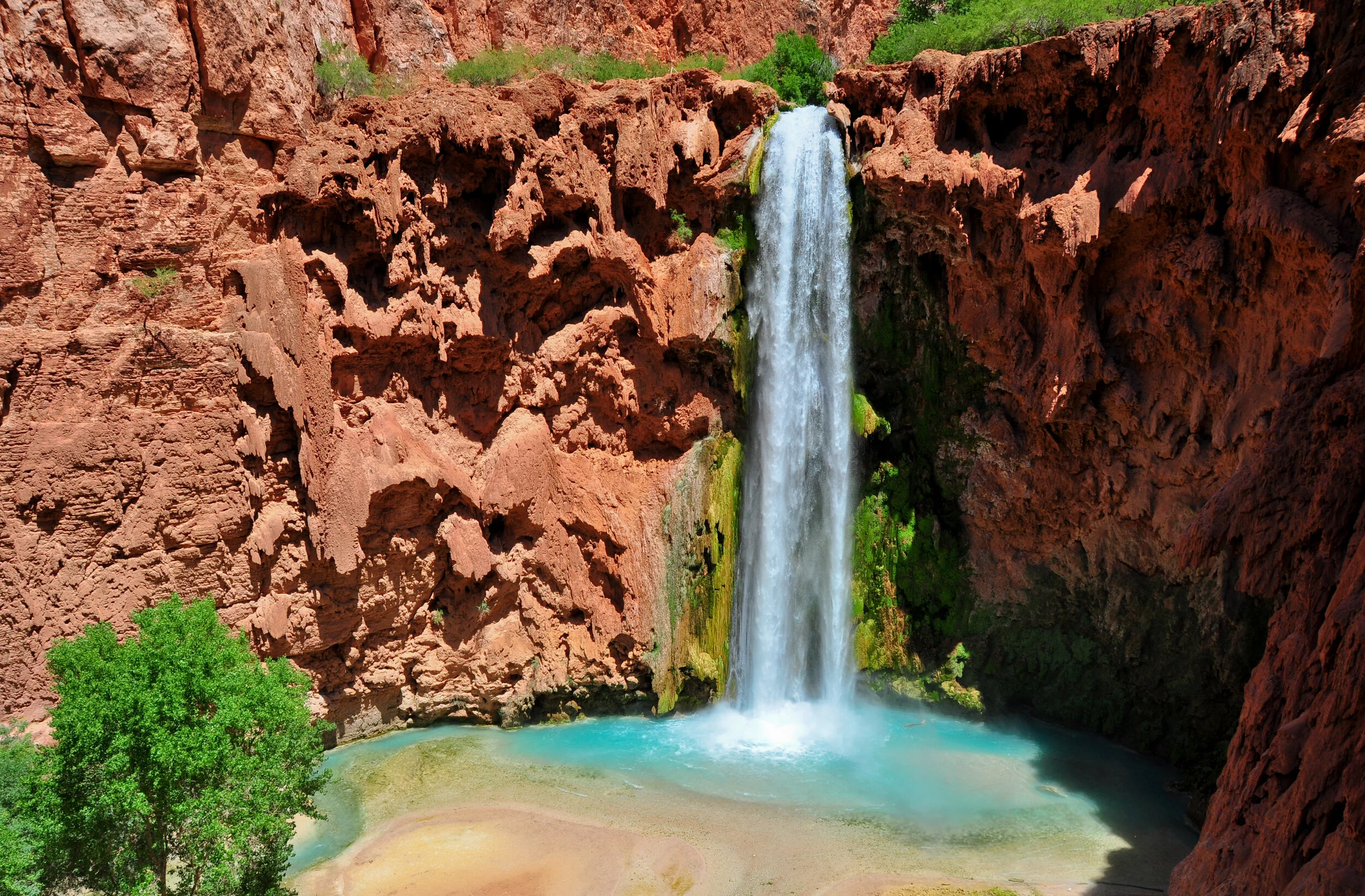 A waterfall cascading down red canyon cliffs into a turquoise pool at the base with a green tree in the foreground.