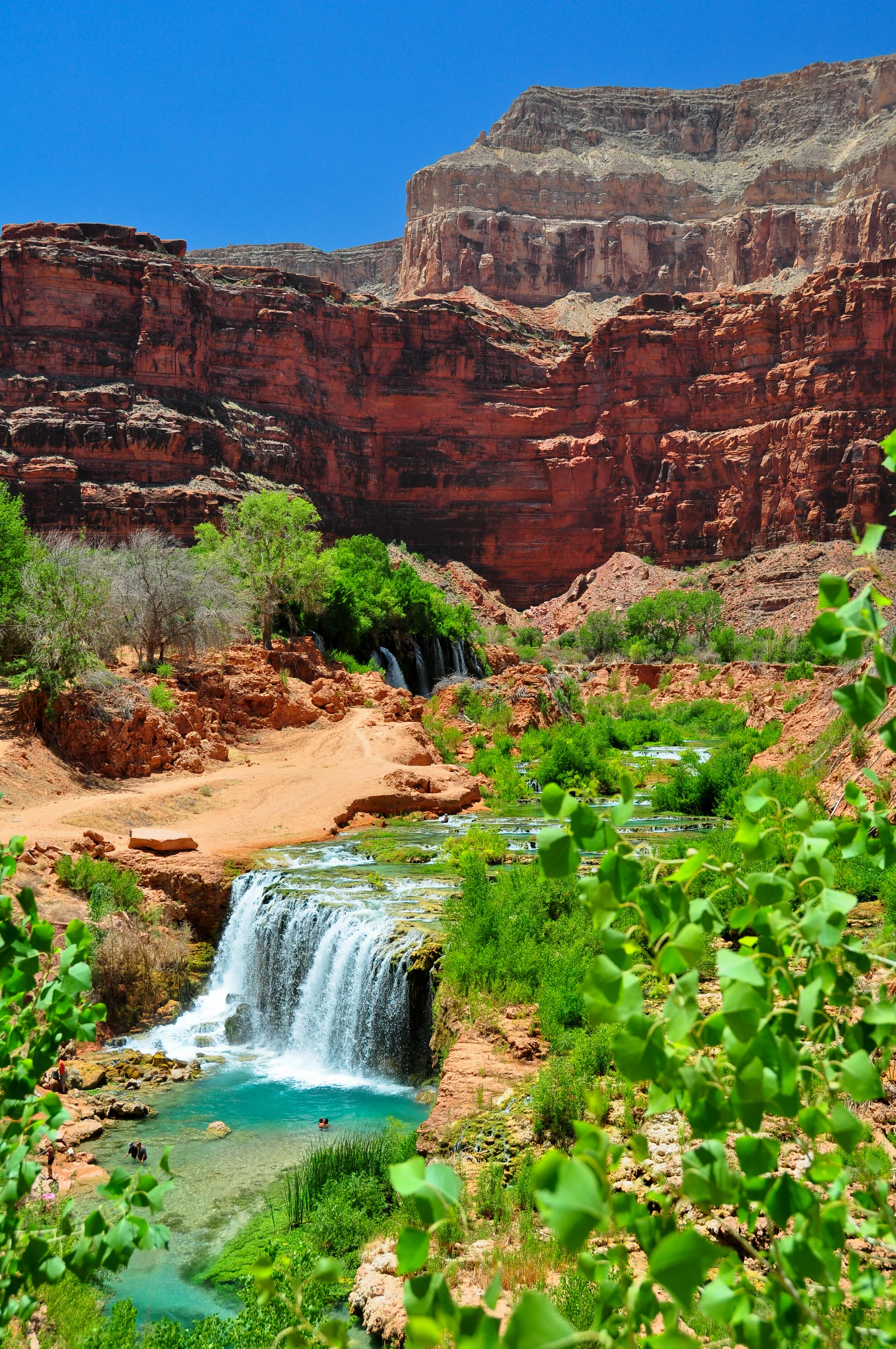 Scenic view of the Grand Canyon with red rock formations, lush green vegetation, waterfalls, and a clear blue sky.