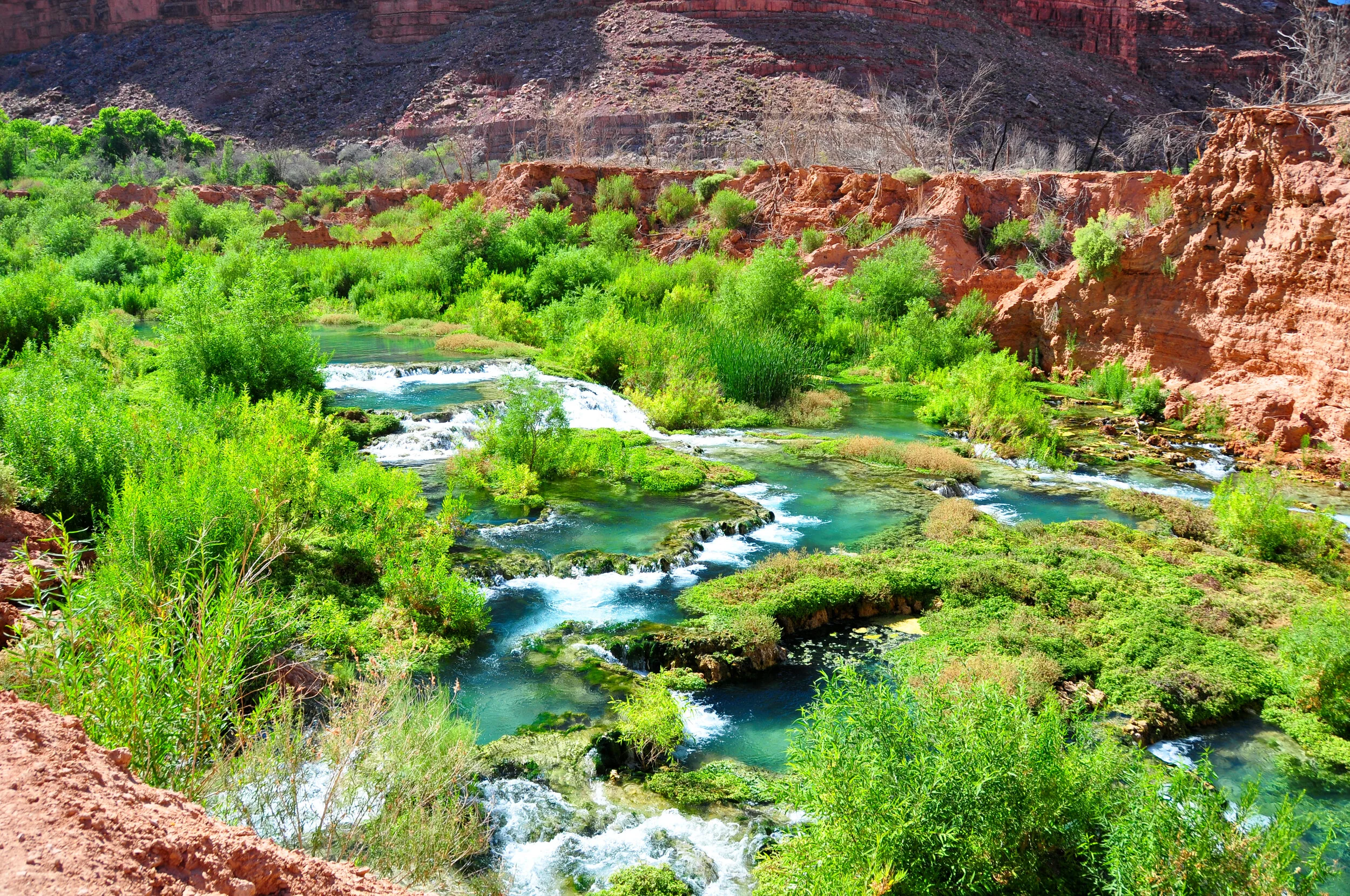 A vibrant landscape with a flowing creek surrounded by lush green vegetation and red rock formations in the background.