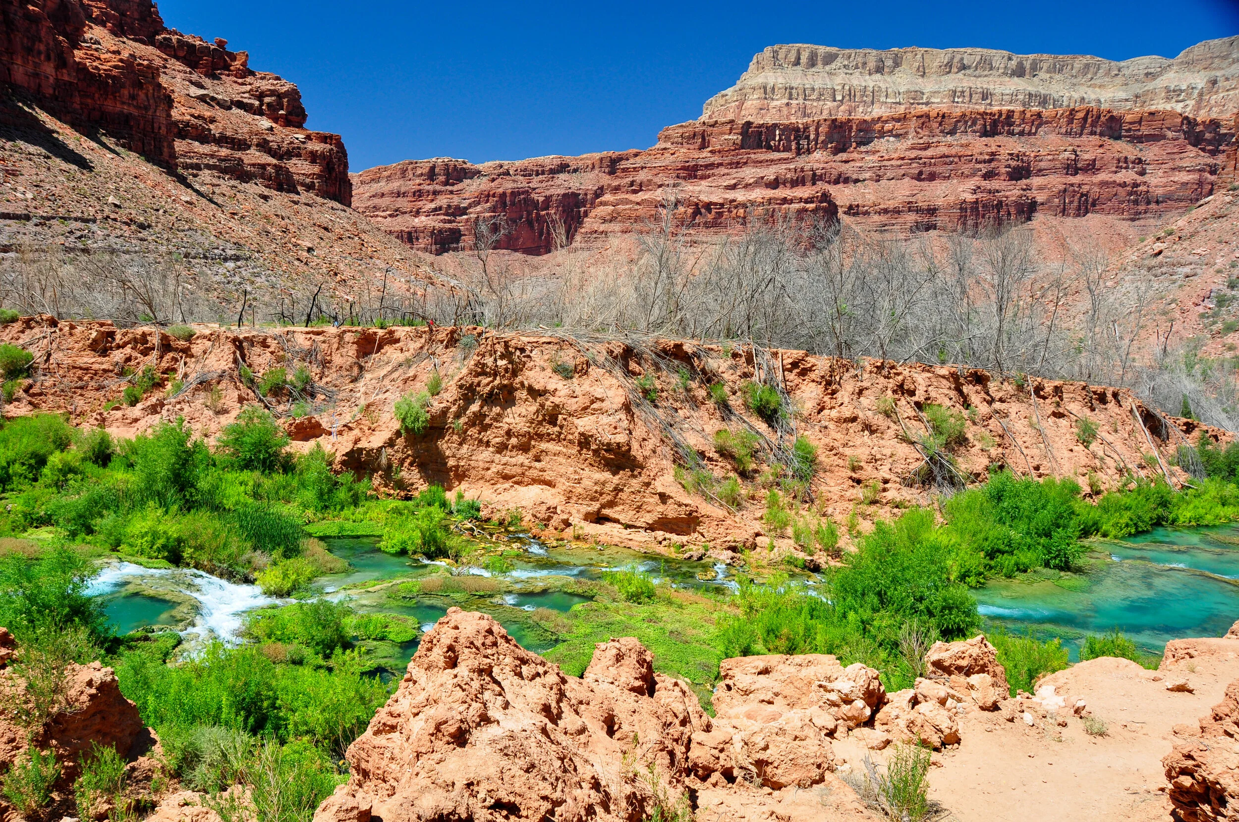 The Grand Canyon with reddish cliffs, a river flowing through lush green vegetation, and a clear blue sky.