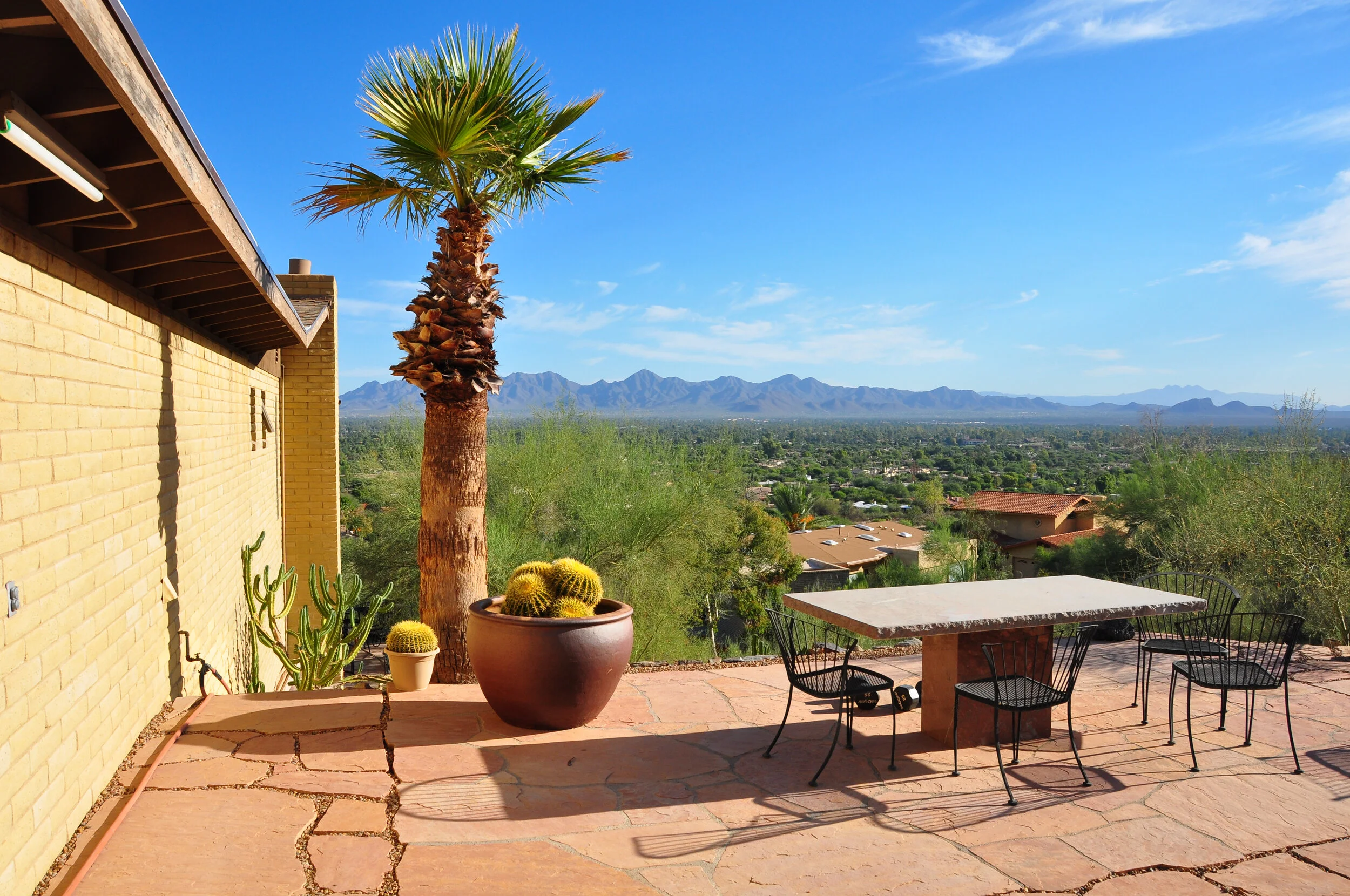 Sunny outdoor patio with a large potted cactus, a tall palm tree, and a table with four black chairs overlooking a desert landscape with distant mountains.