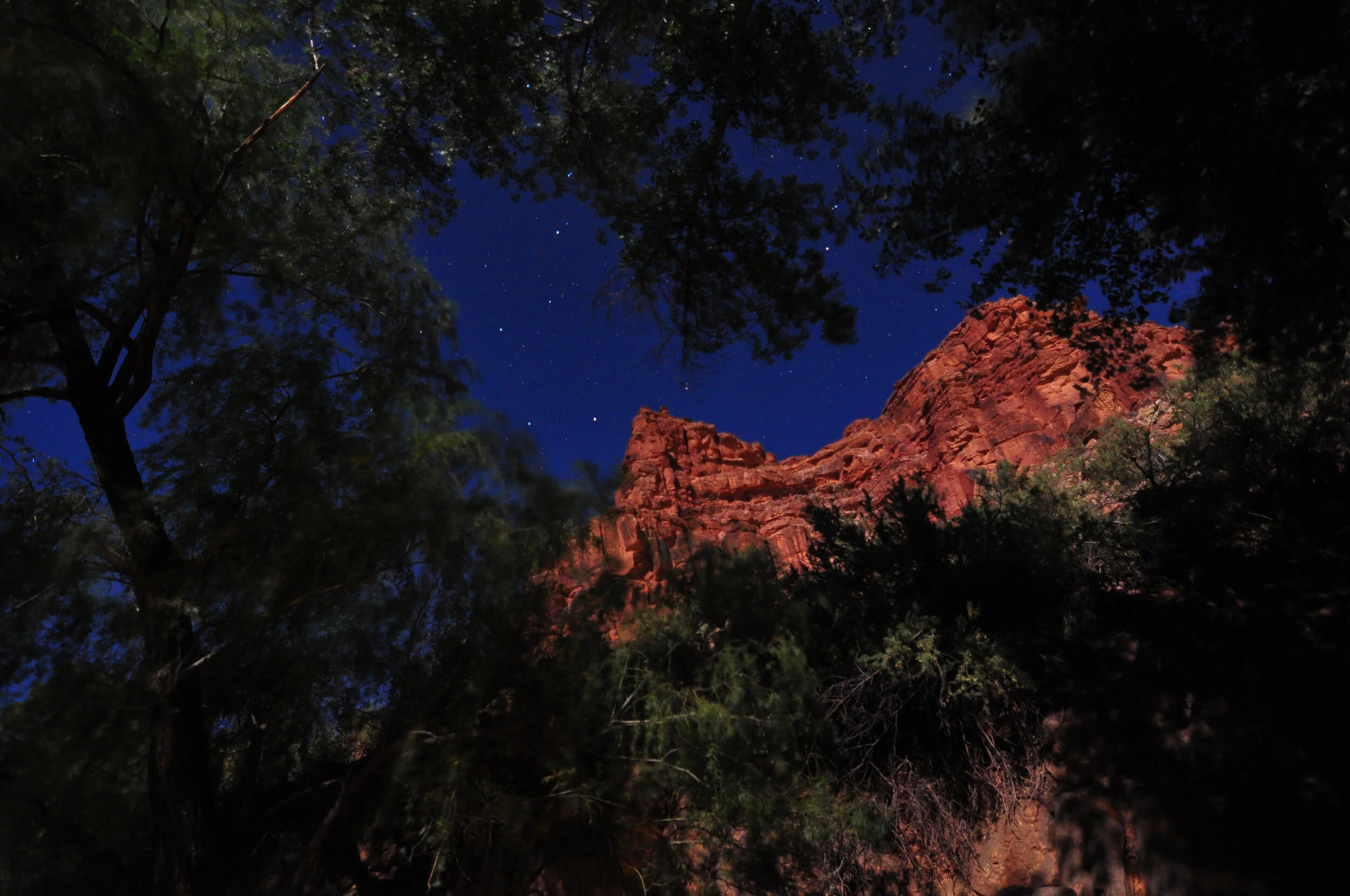 Nighttime view of a starry sky above a rugged red rock formation surrounded by trees.