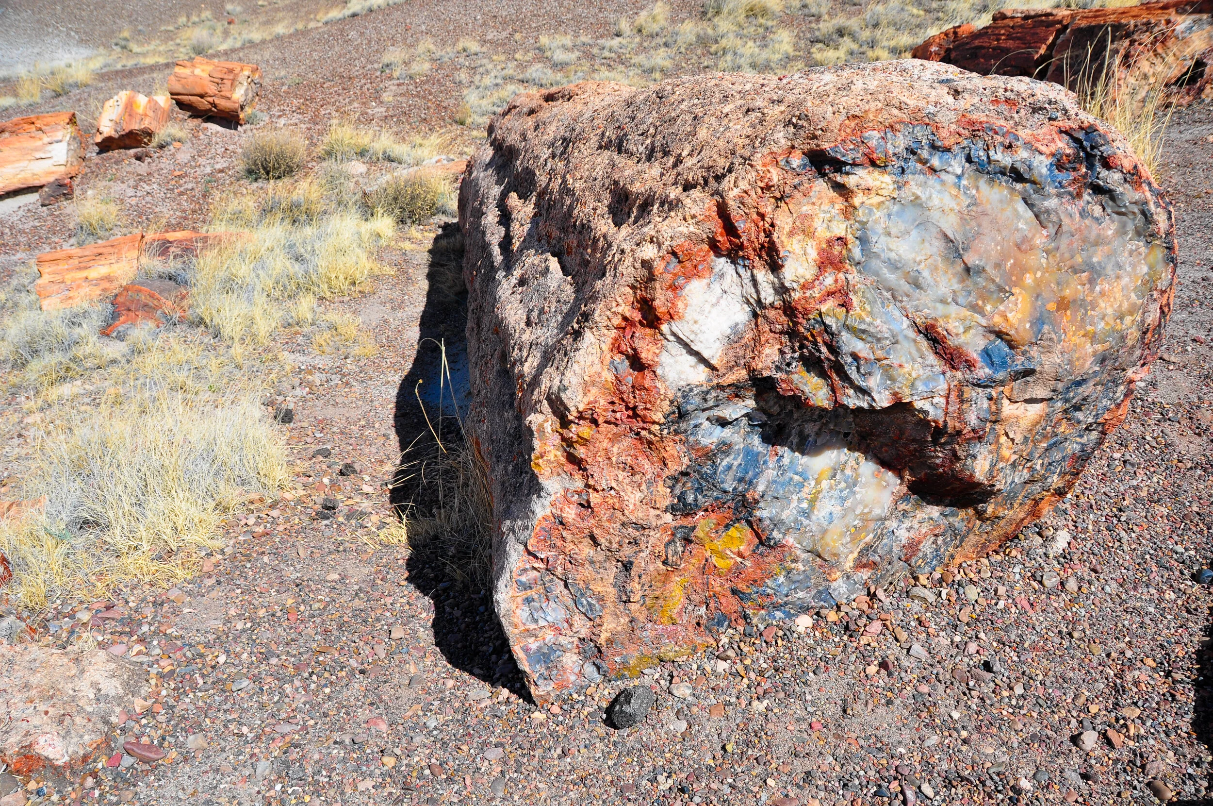 Close-up of a large colorful boulder with a rounded face and vibrant mineral streaks in a desert landscape with sparse vegetation.