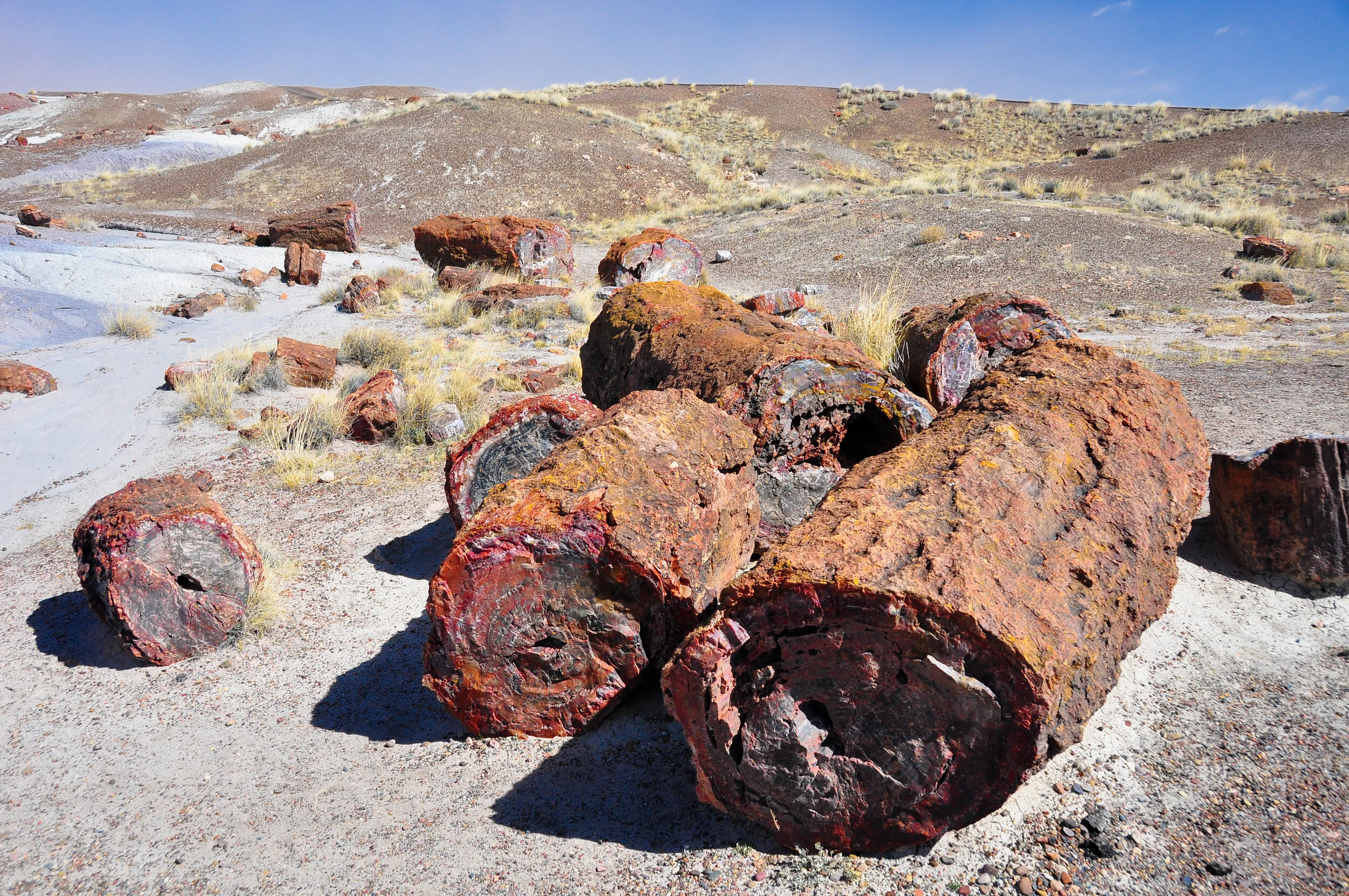 Large, weathered, volcanic rocks scattered across a desert landscape with sparse yellow grass and distant hills under a clear blue sky.