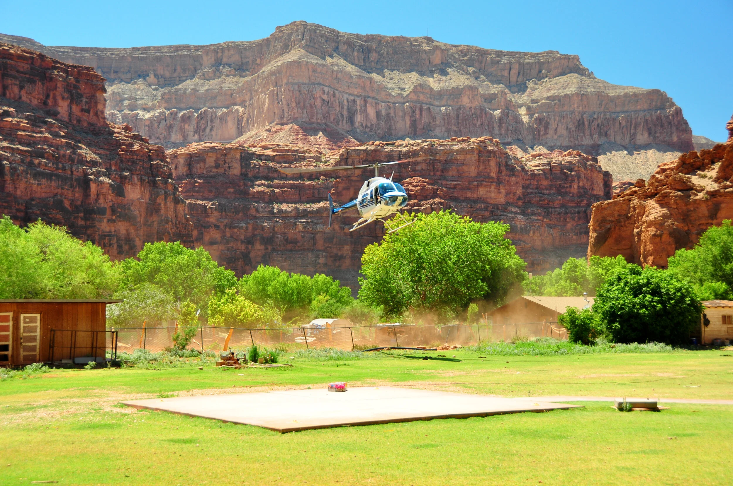 A helicopter flying over green trees with red rock cliffs in the background at Grand Canyon.