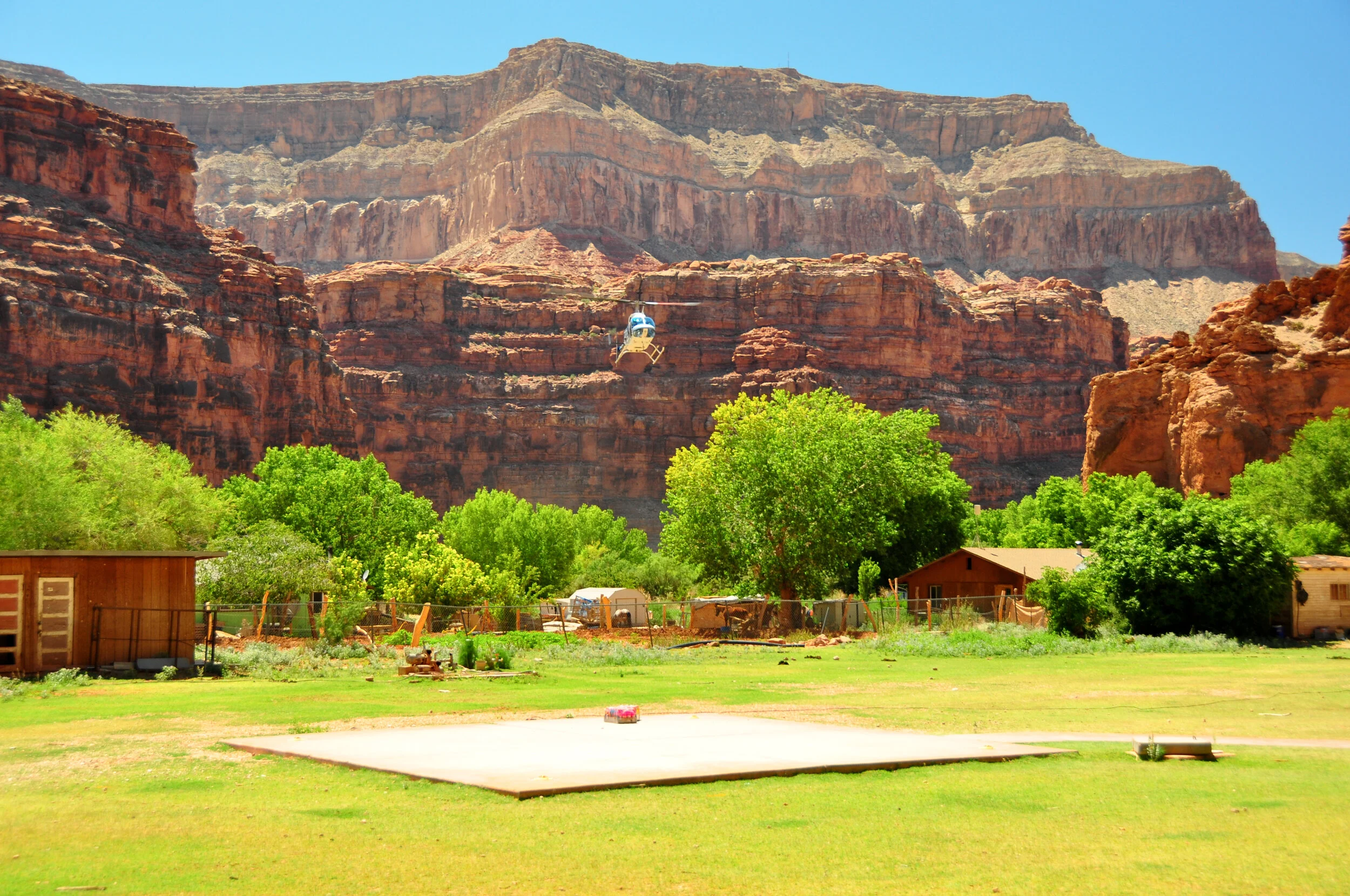 A helicopter flying in the Grand Canyon with green trees and small buildings in the foreground.