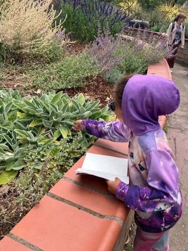 School's Out Fun Day! Nature Journaling + read alouds and outdoor exploration