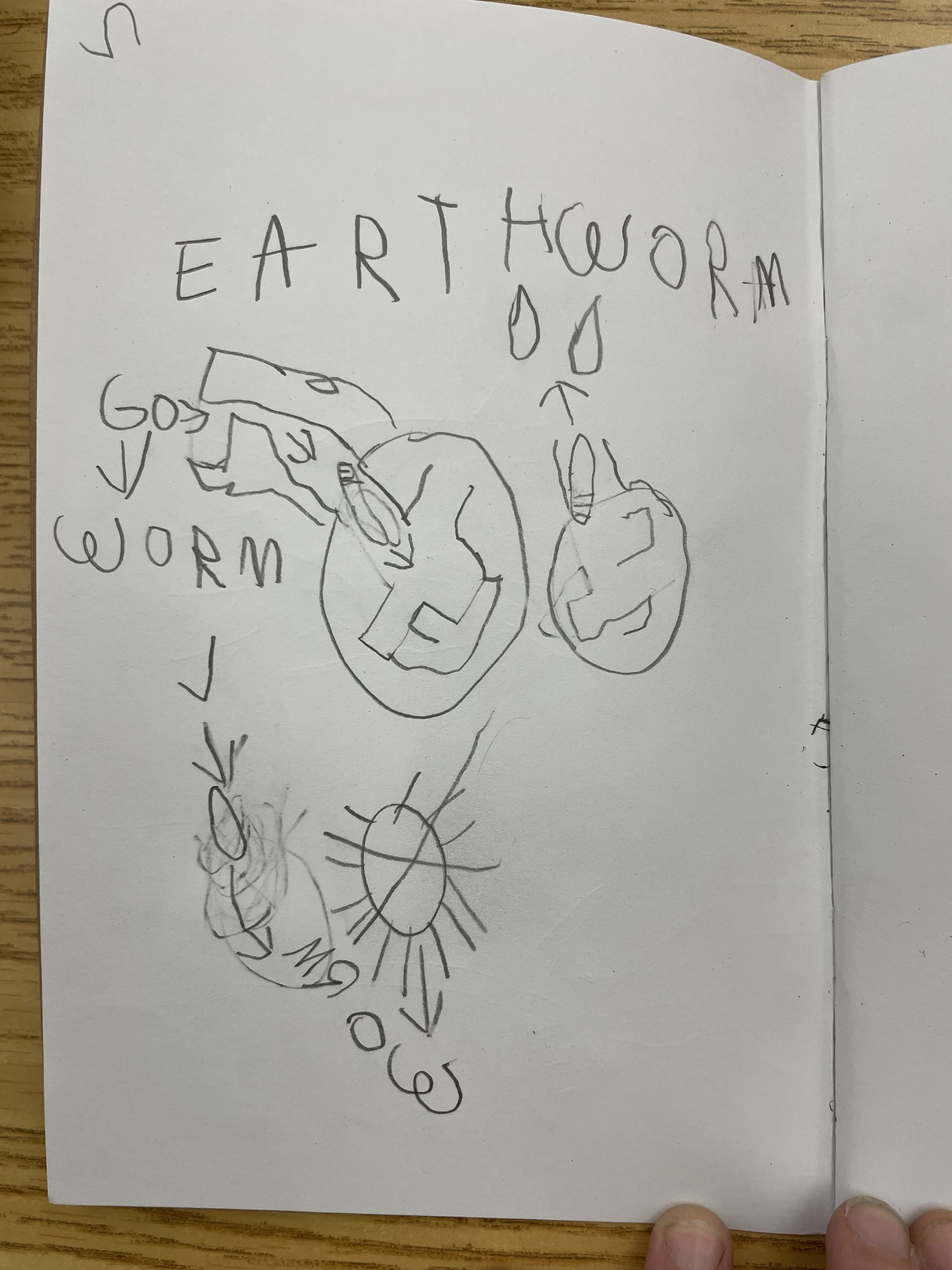 Free nature journaling resources for neurodiverse learners — Words in ...