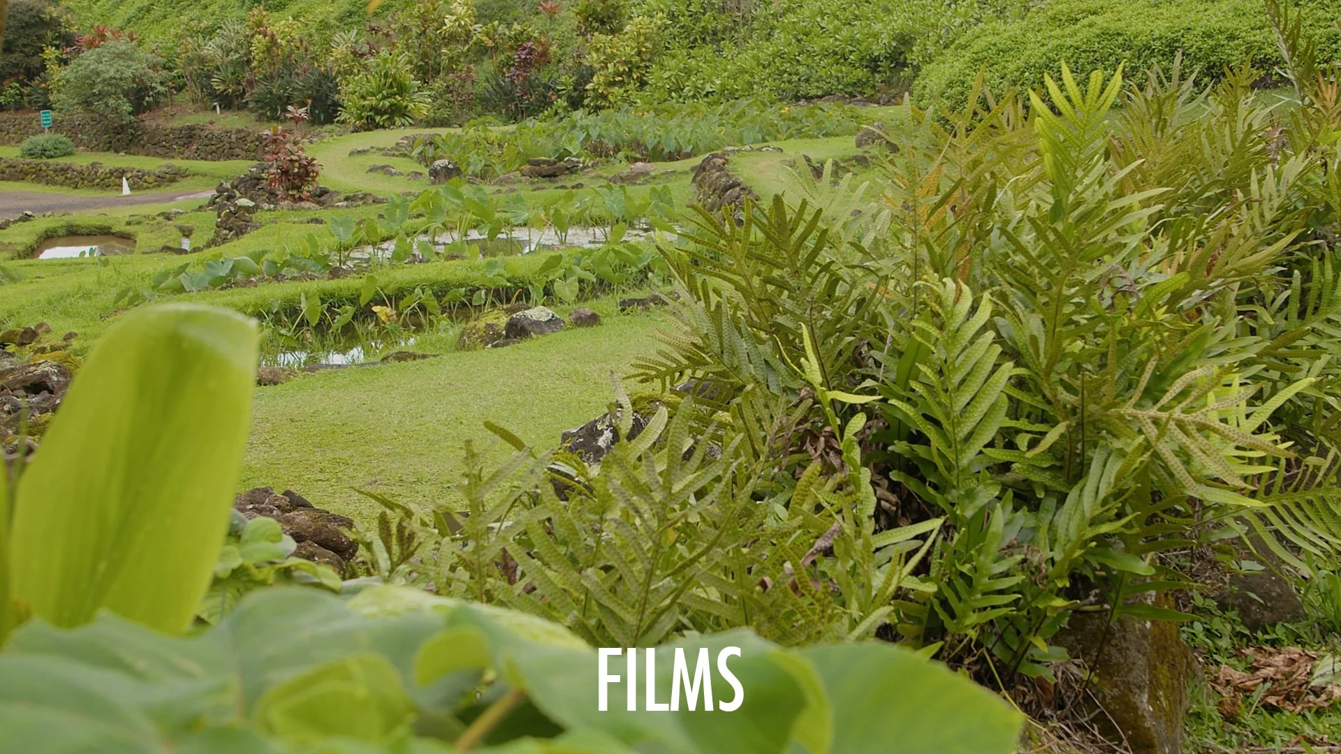 Films