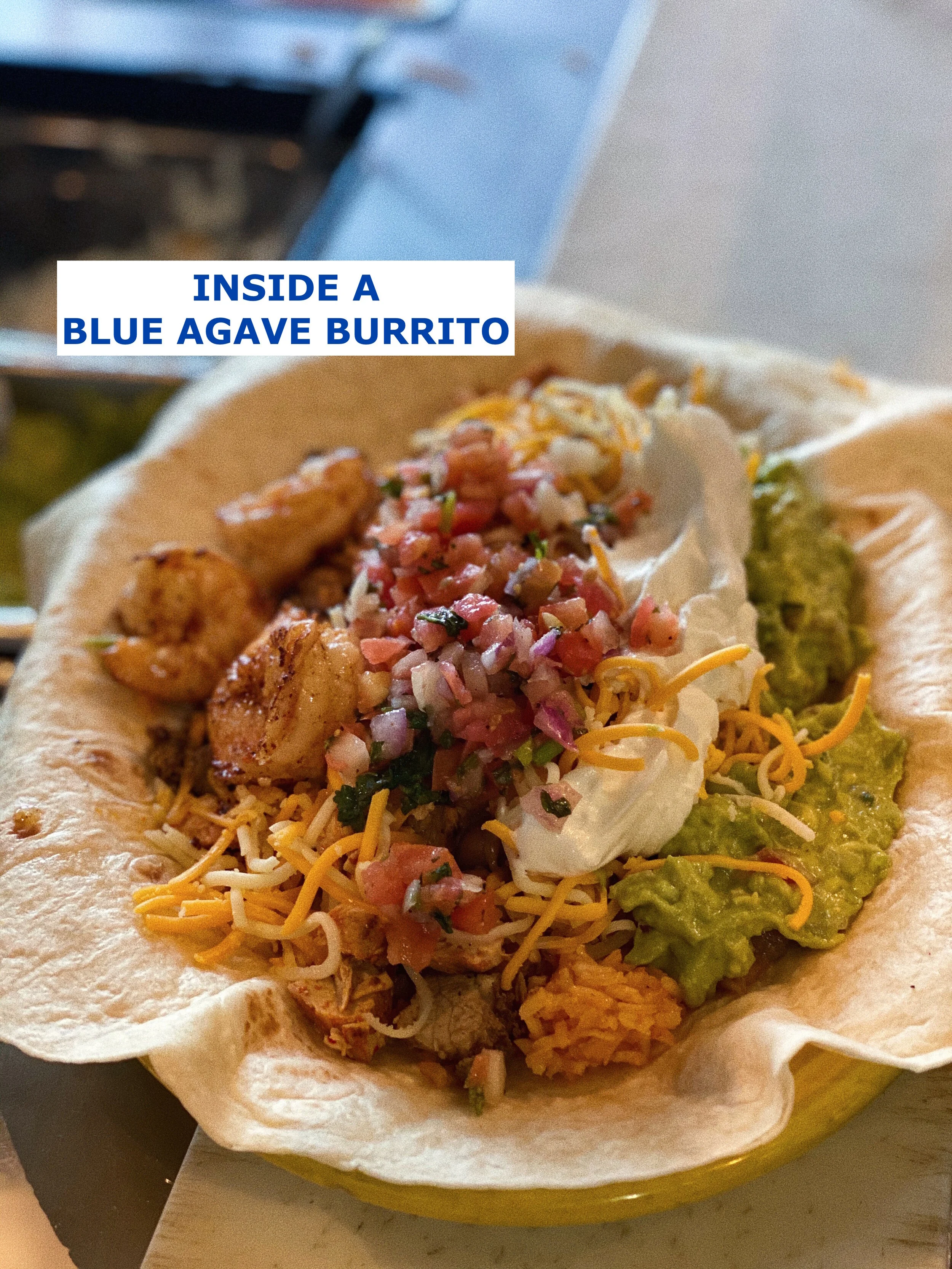 INSIDE A BLUE AGAVE.JPG