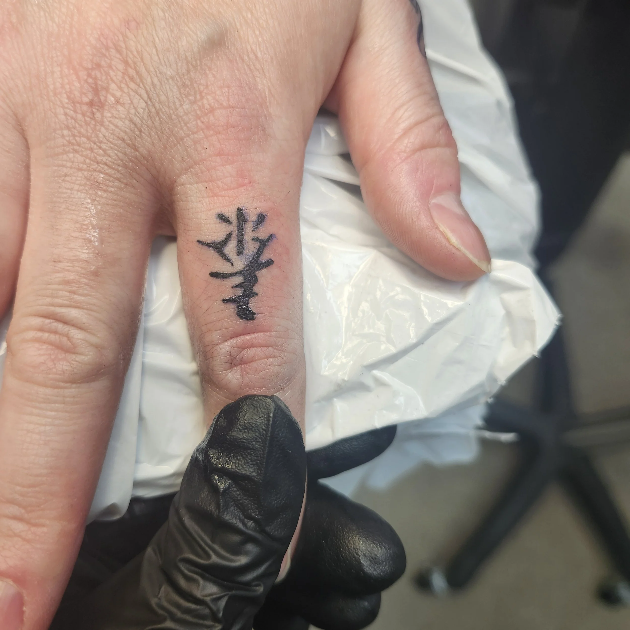 AT Erin Finger chinese.jpg
