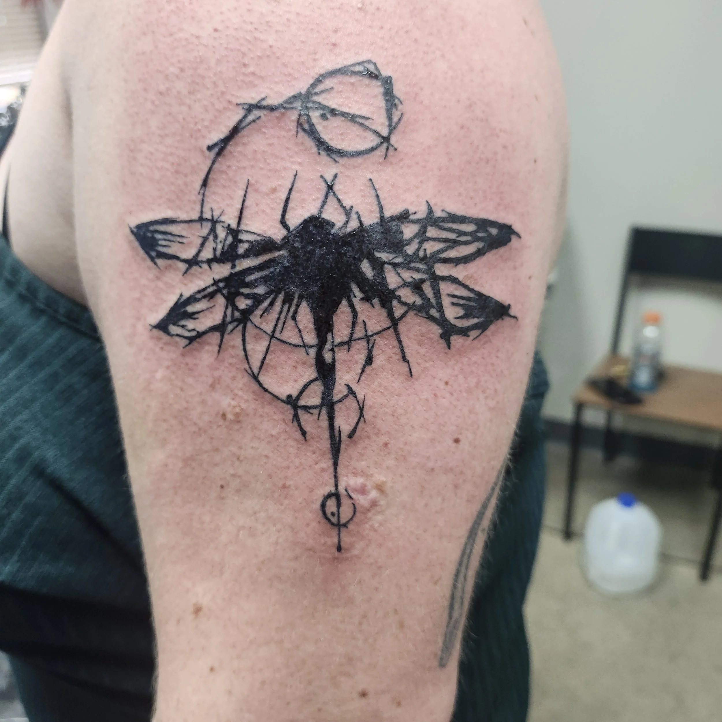 AT Morgan dragonfly shoulder.jpg